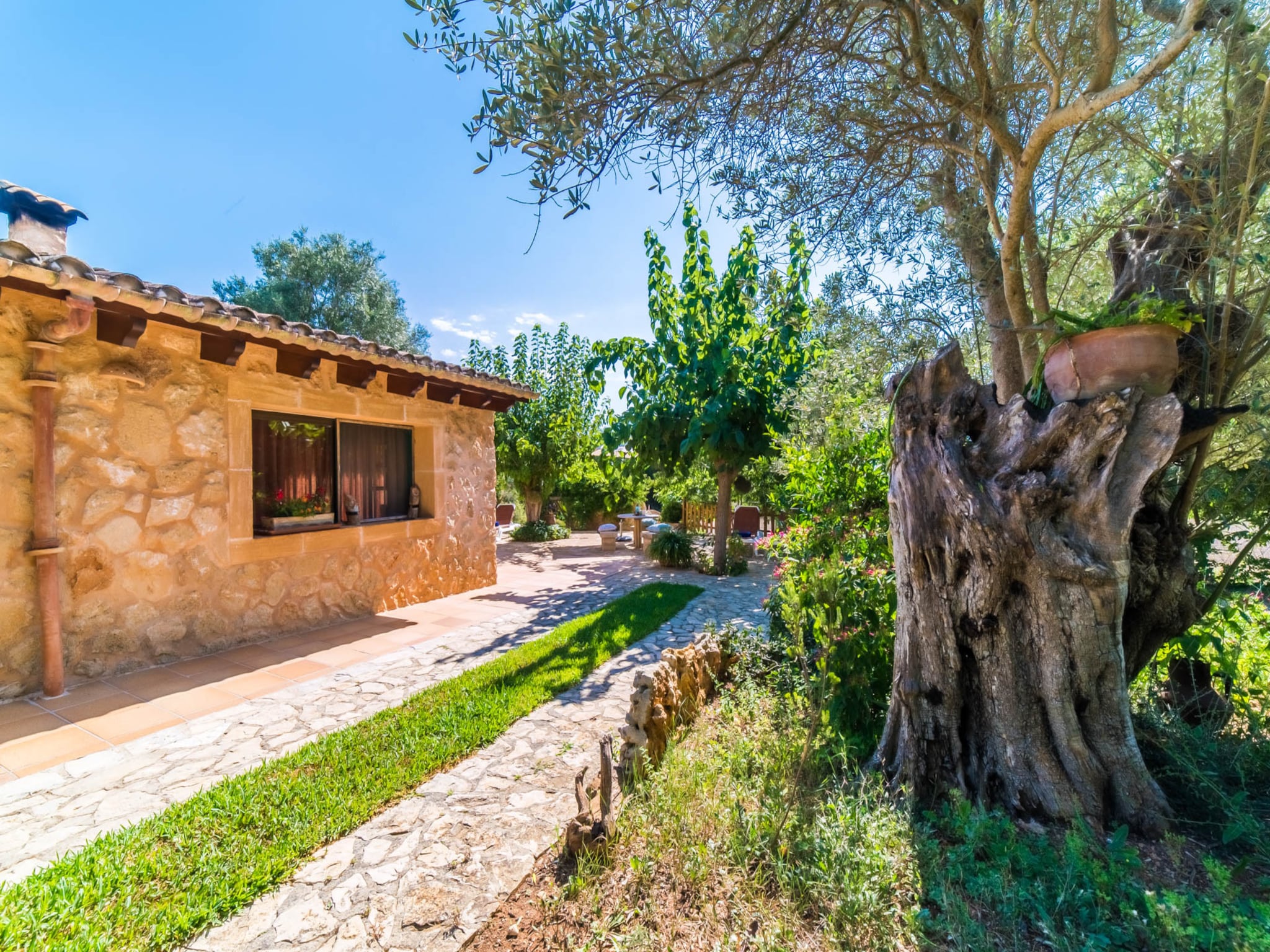   Finca Na Babayana