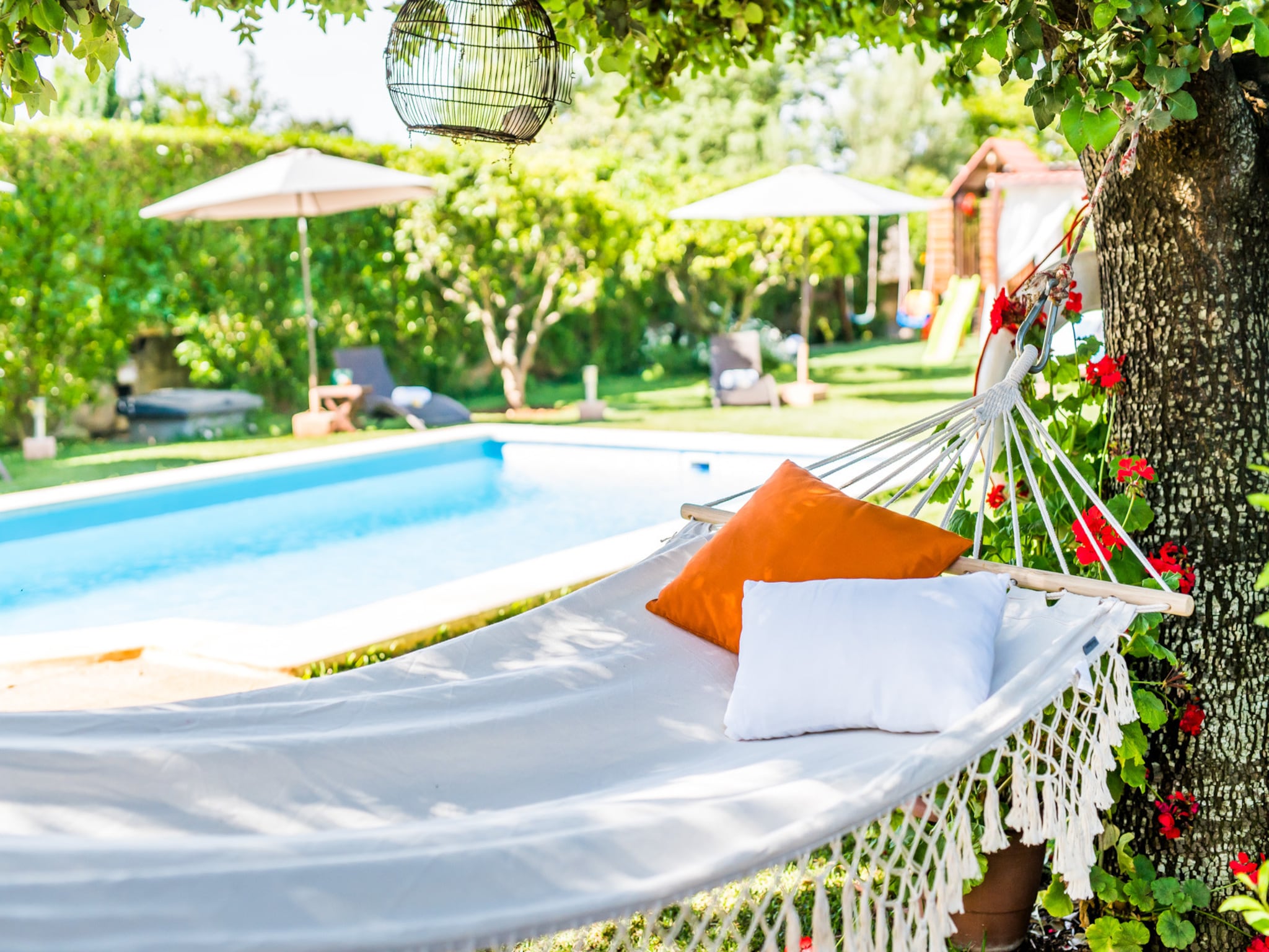   Finca Alegre