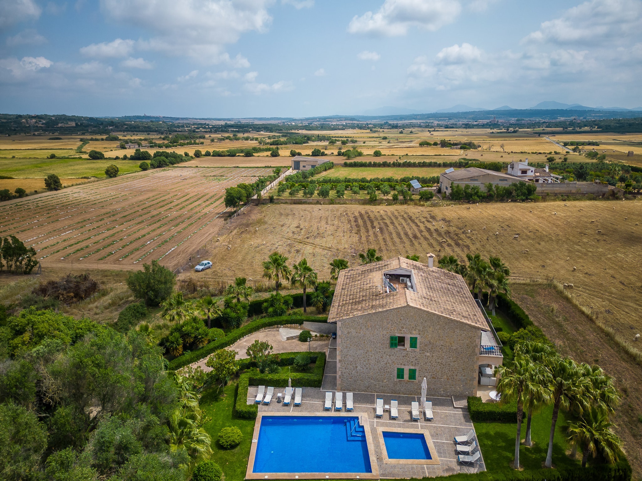   El Palmeral