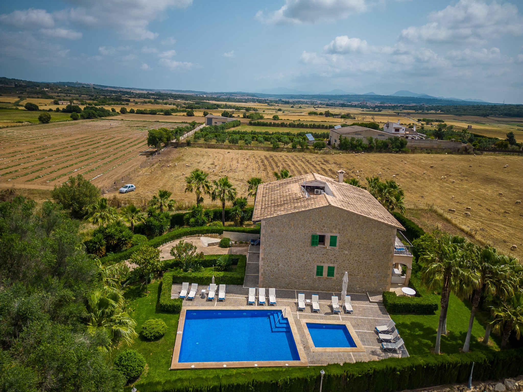   El Palmeral