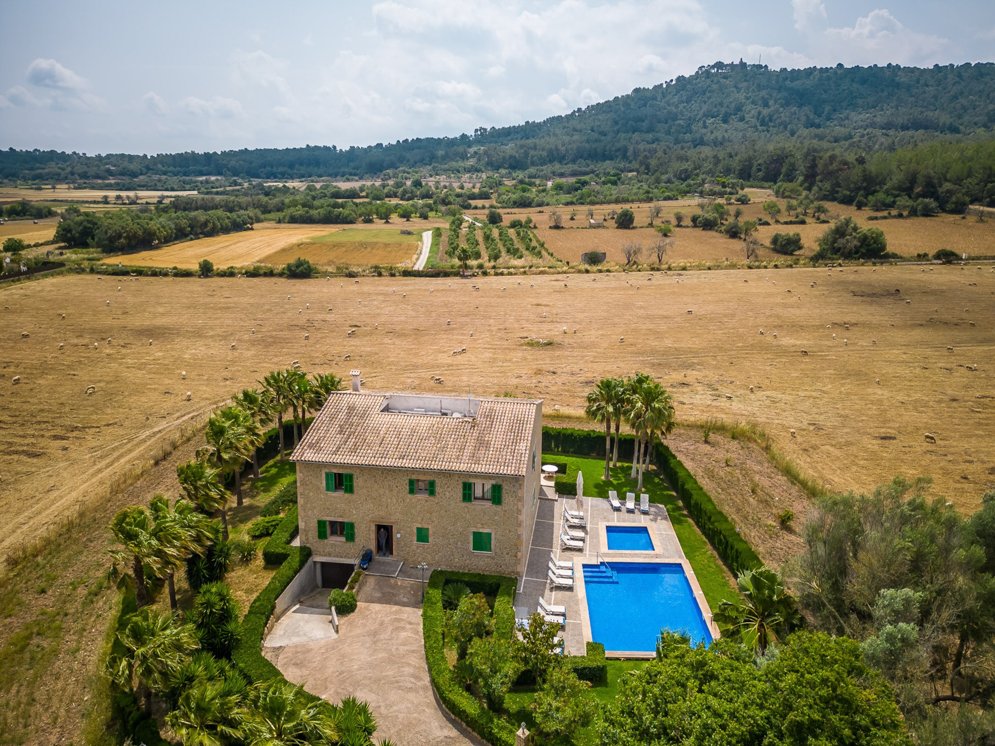   El Palmeral