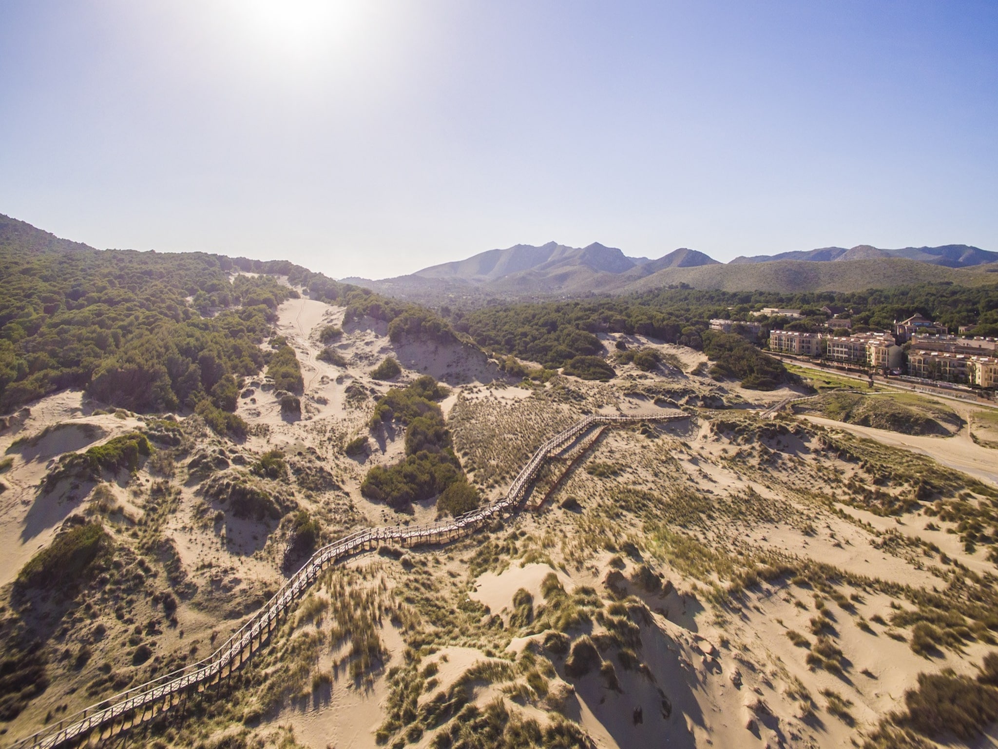   El Palmeral