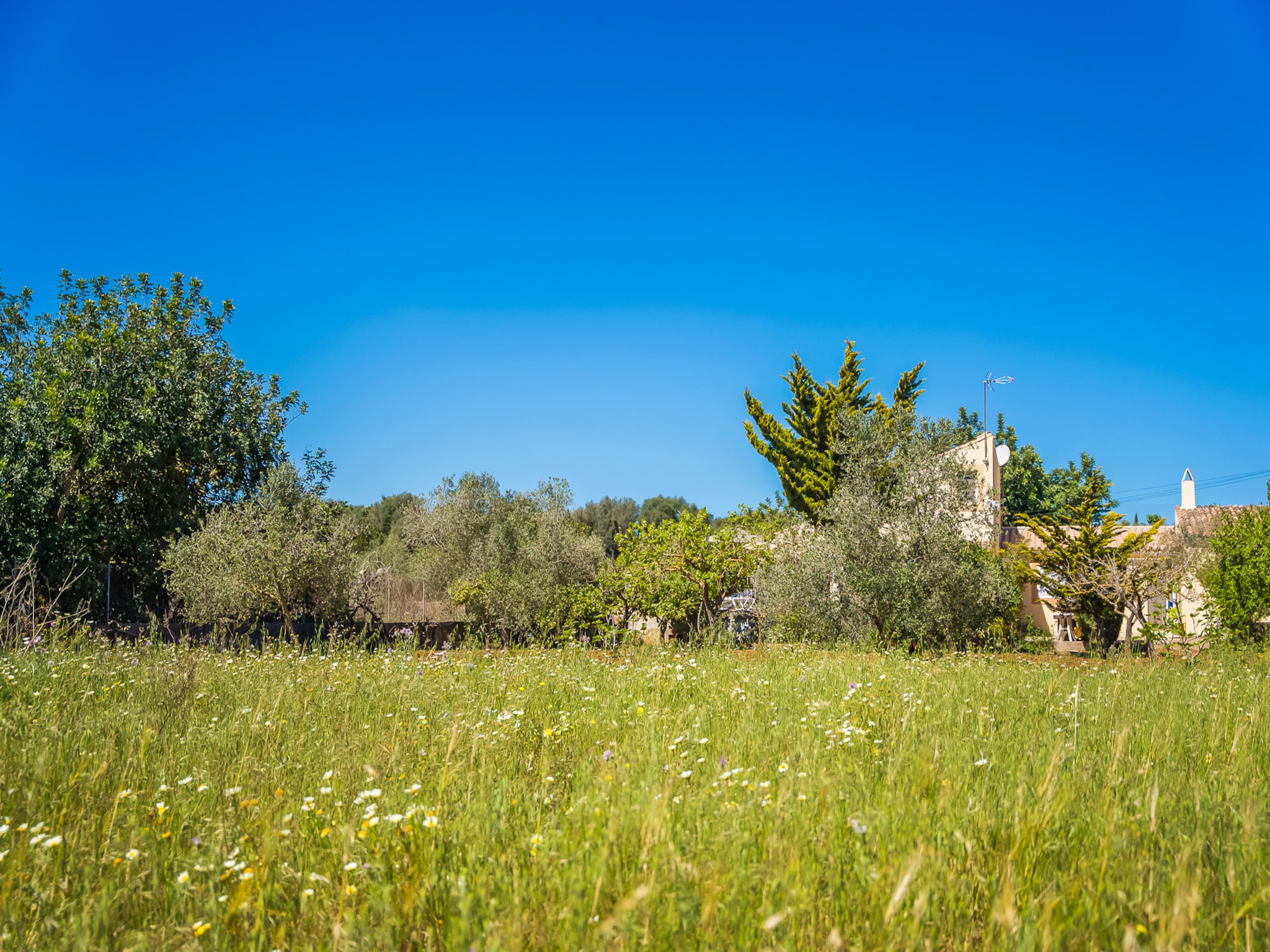   Finca Es Baladre