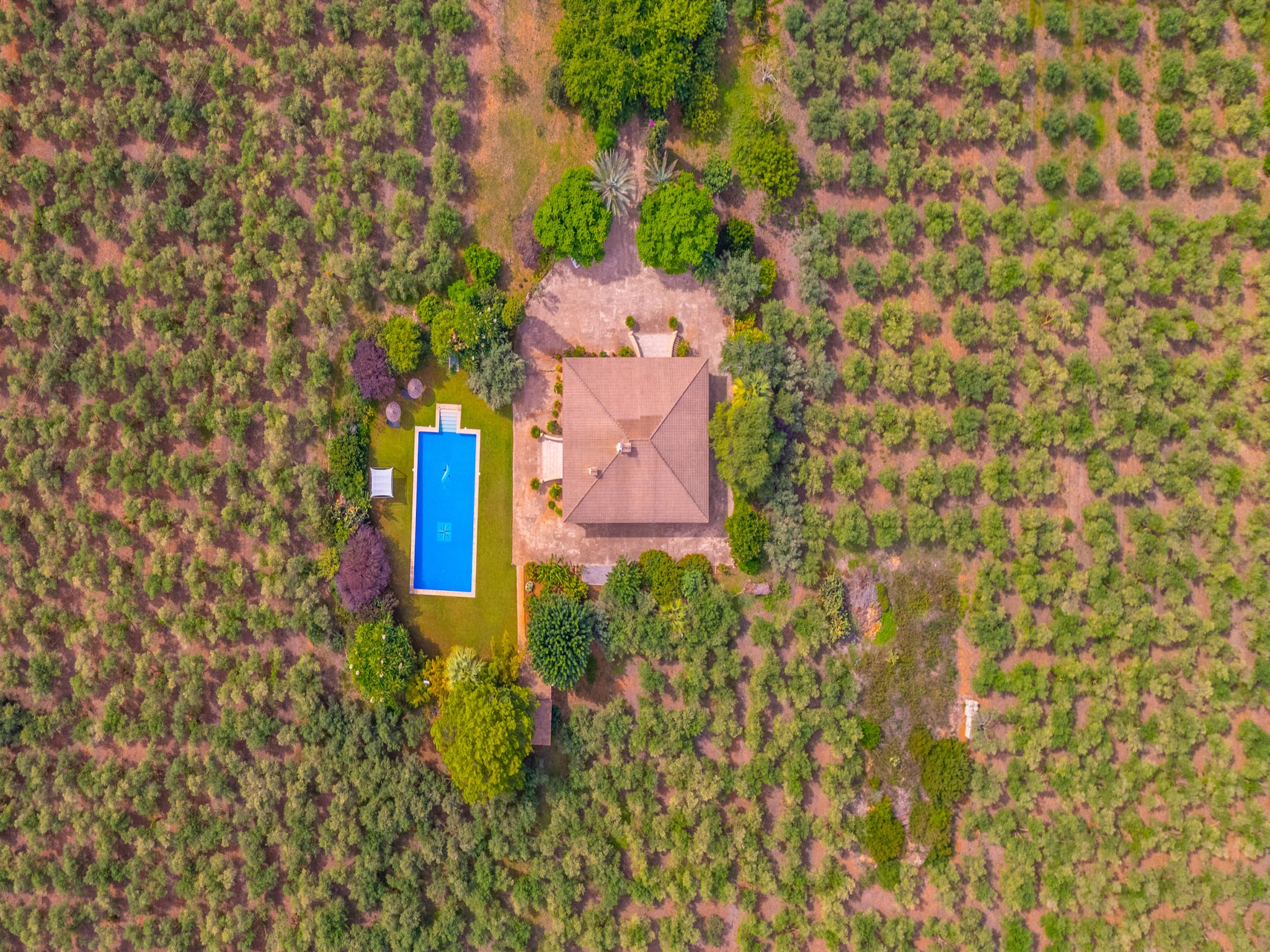 Ferienhaus Dofi Blau, Villa 5StarsHome Mallorca