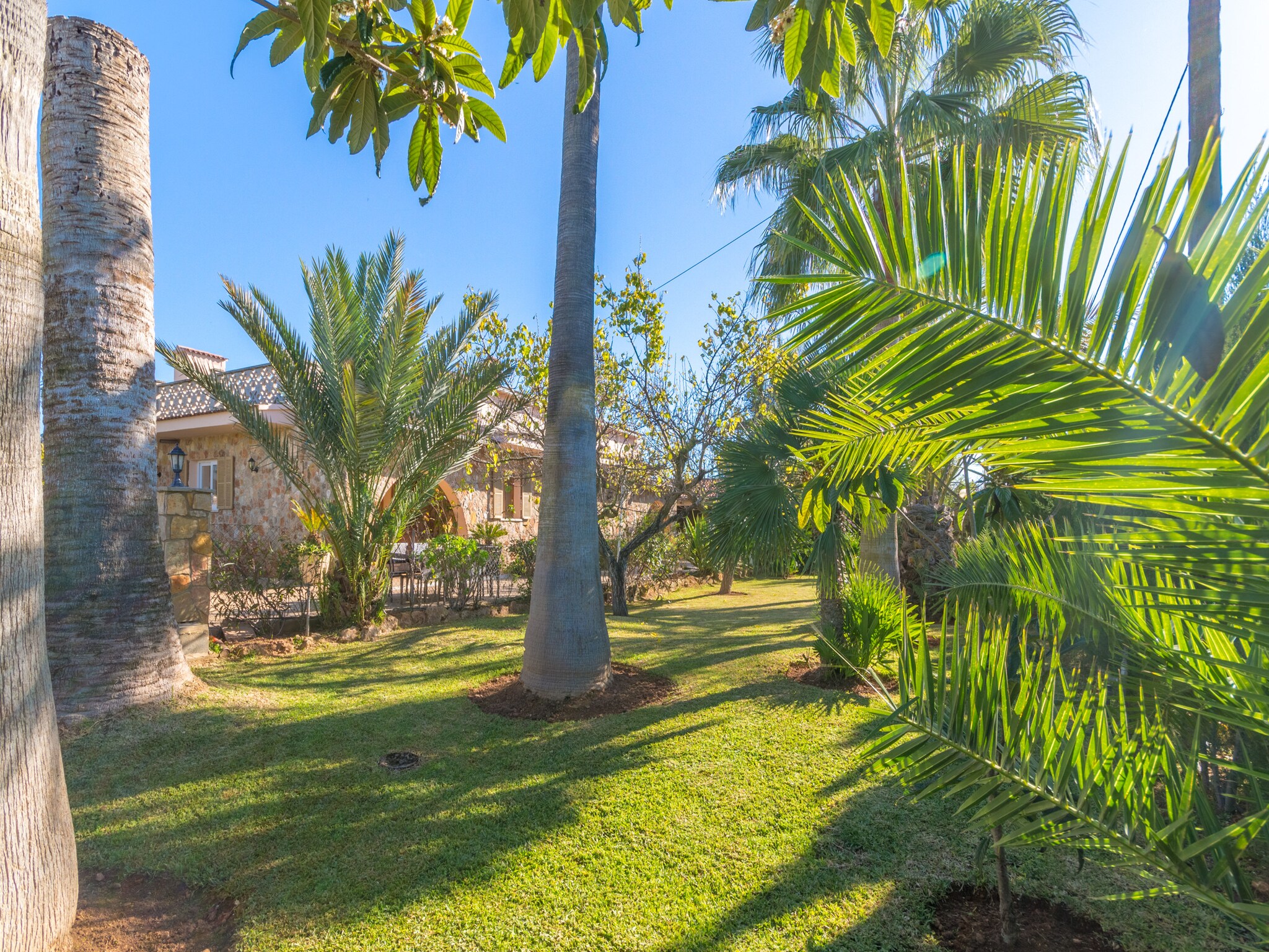   Can Mesquida, Finca 5StarsHome Mallorca