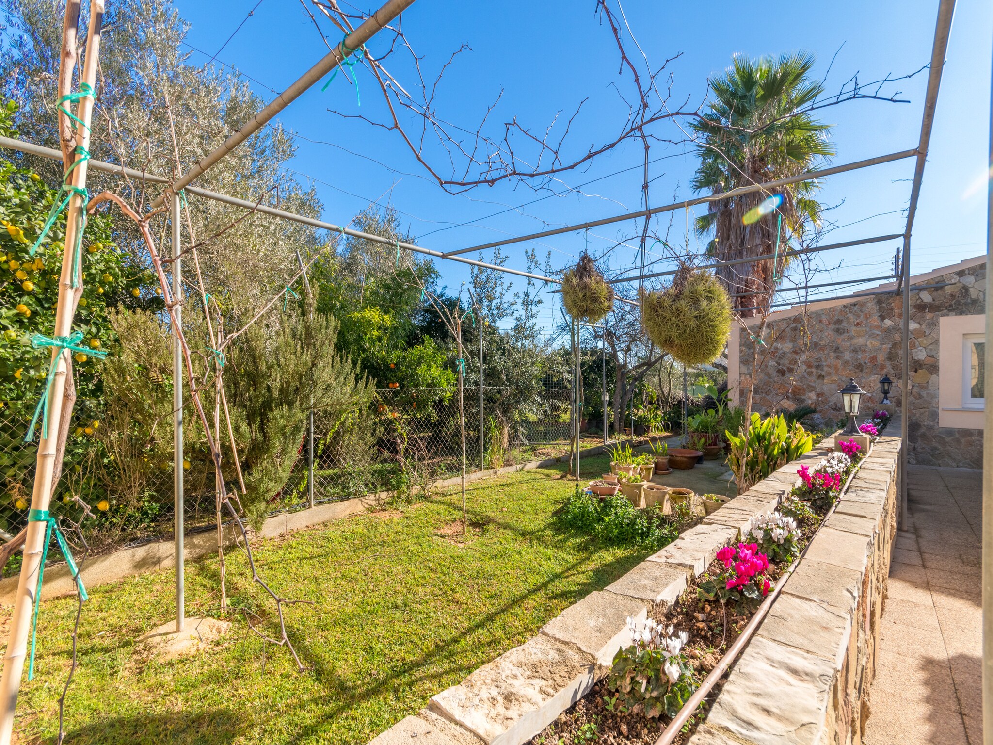   Can Mesquida, Finca 5StarsHome Mallorca