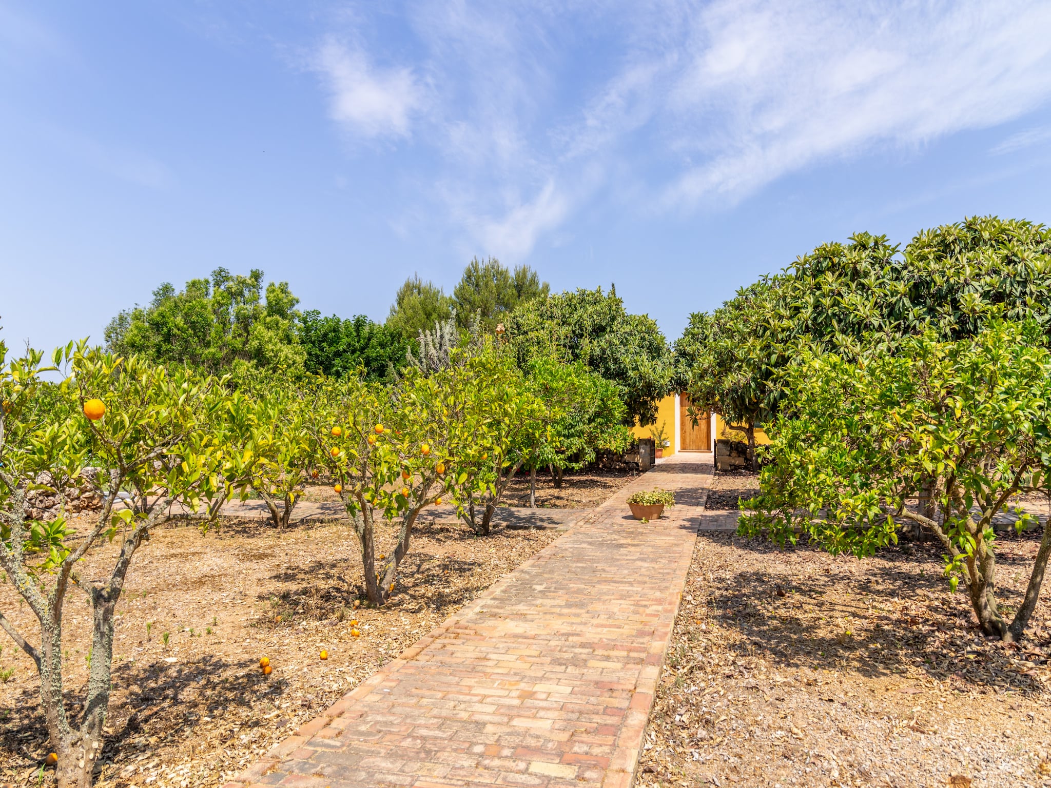   Ses Cases Son Blat, Finca 5StarsHome Mallorca