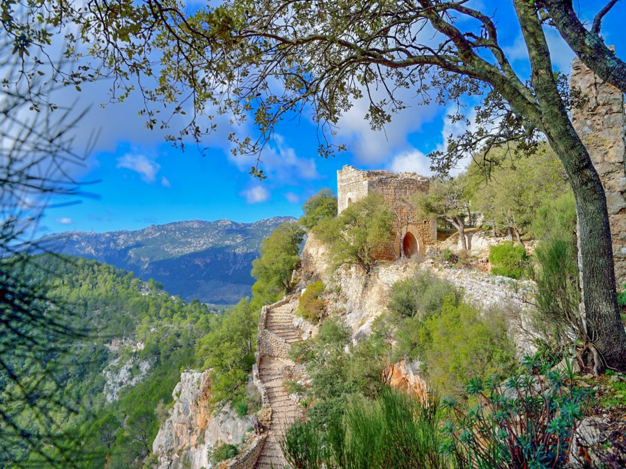 Feriebolig Vanyols, Finca 5StarsHome Mallorca