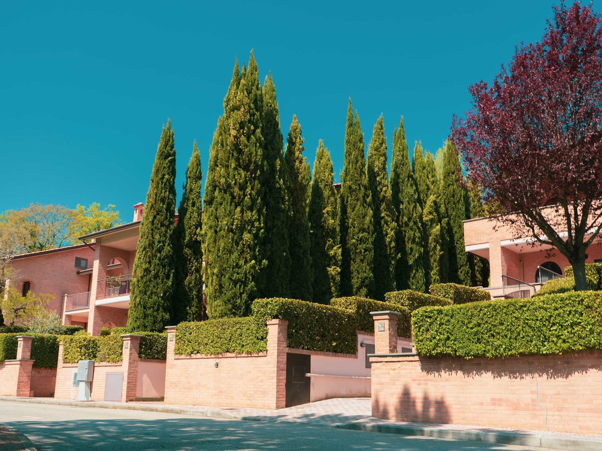   Assisi 4 pax