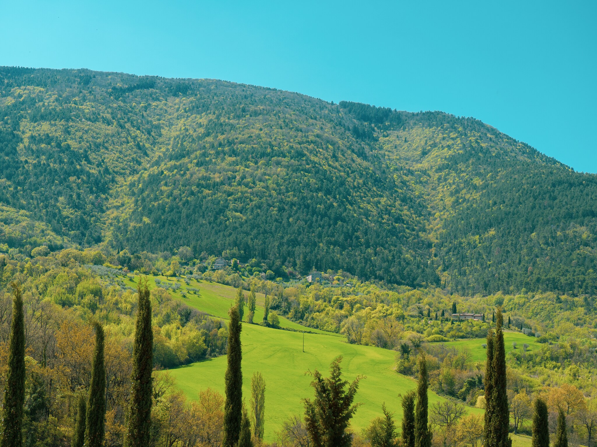   Assisi 4 pax