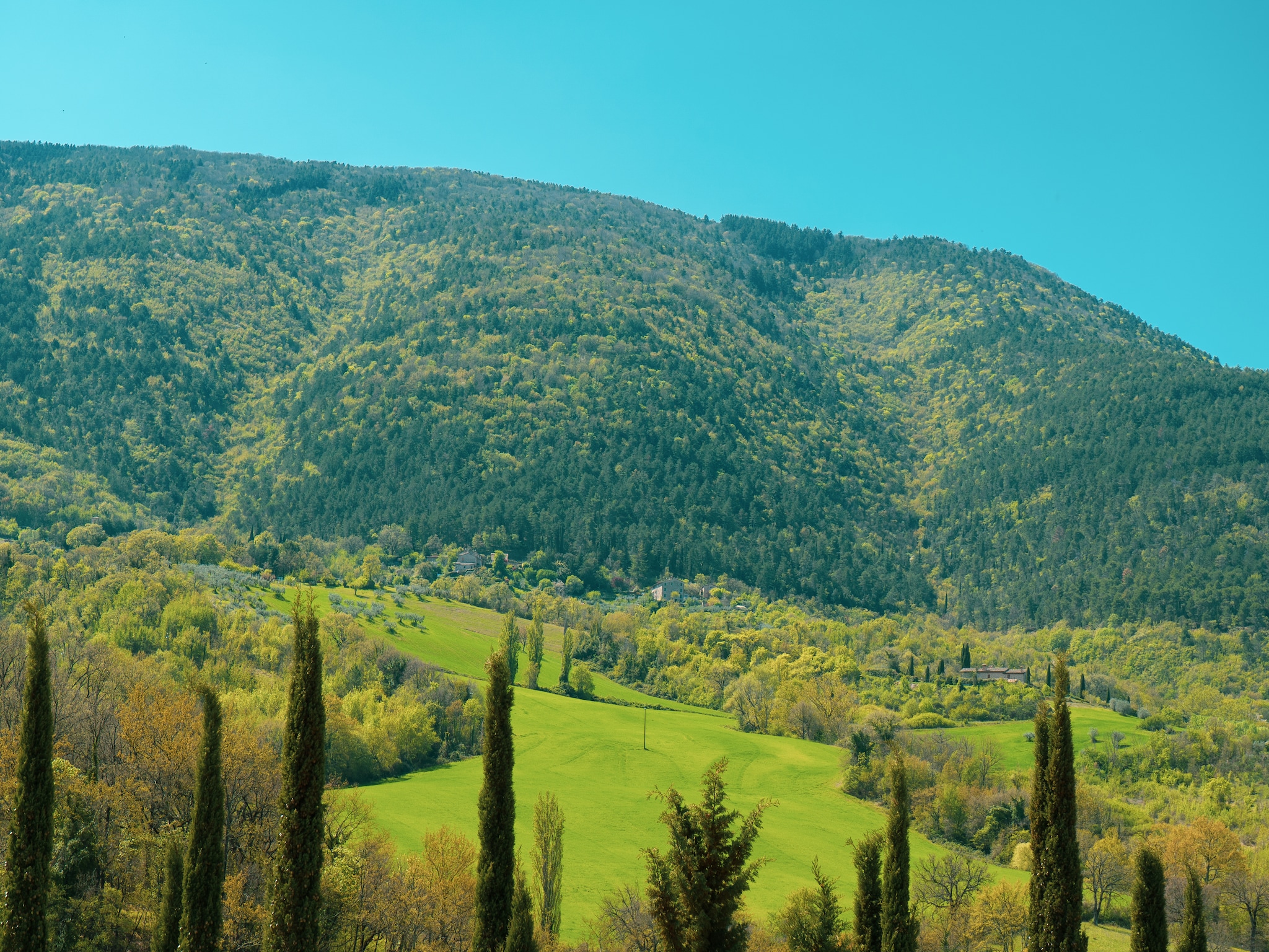   Assisi 6 pax