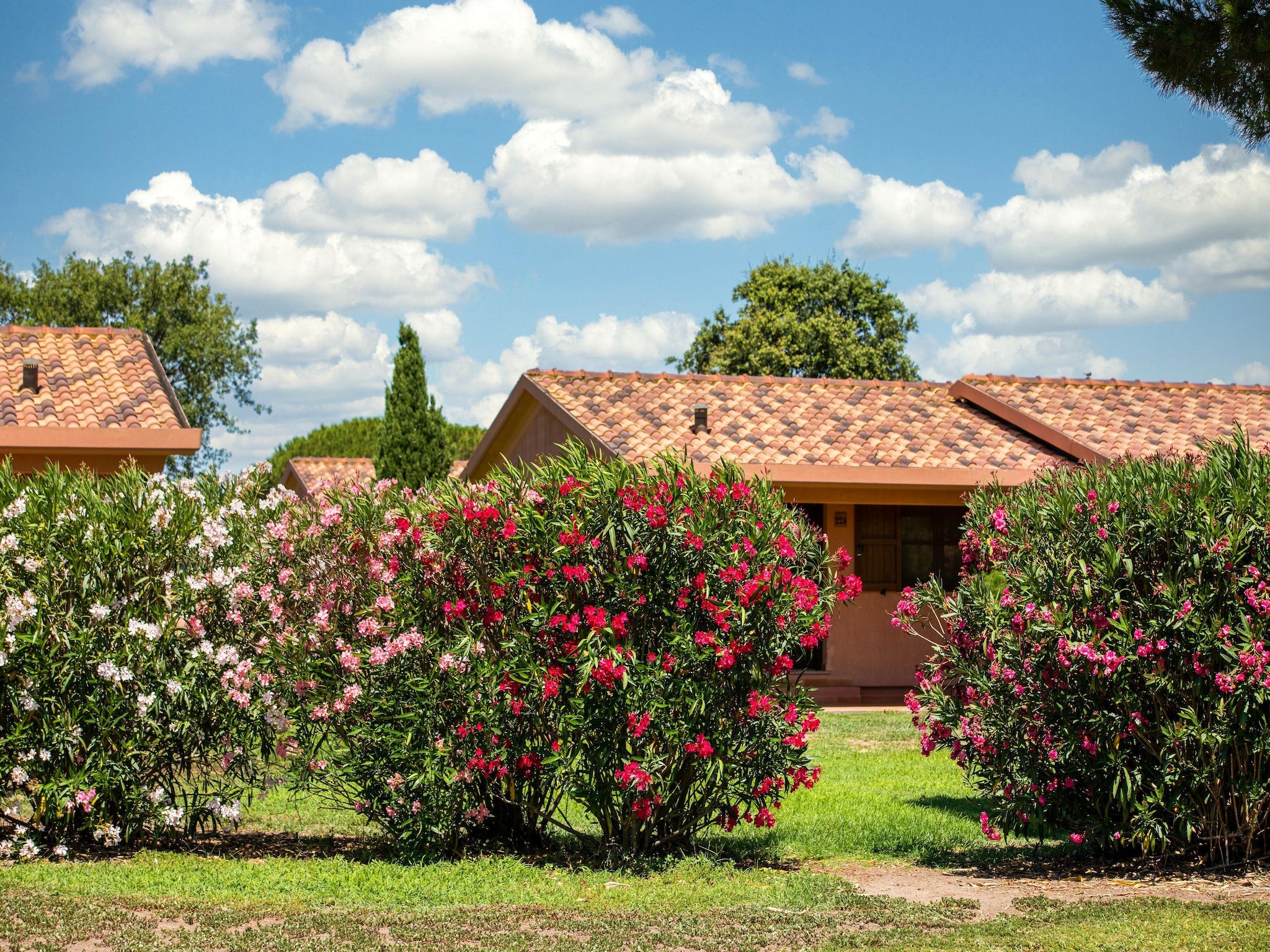 Appartamento Gitavillage California 4-Zi-Lodge Premium Veranda