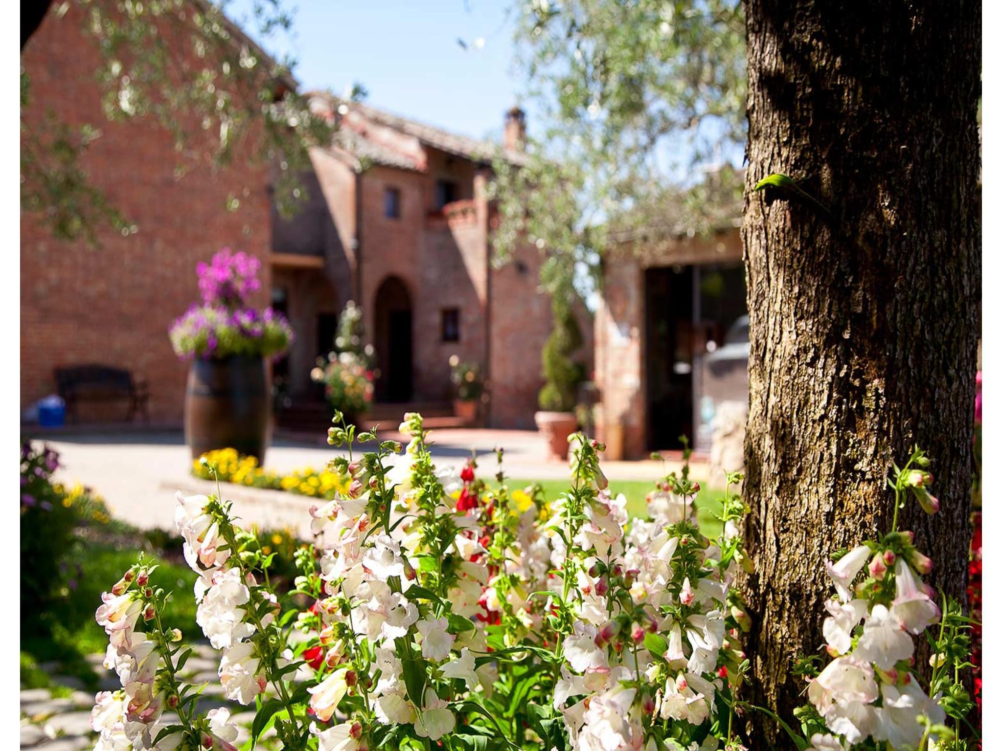 Appartement RESIDENCE BORGO TRE ROSE - Apartment TYPE A