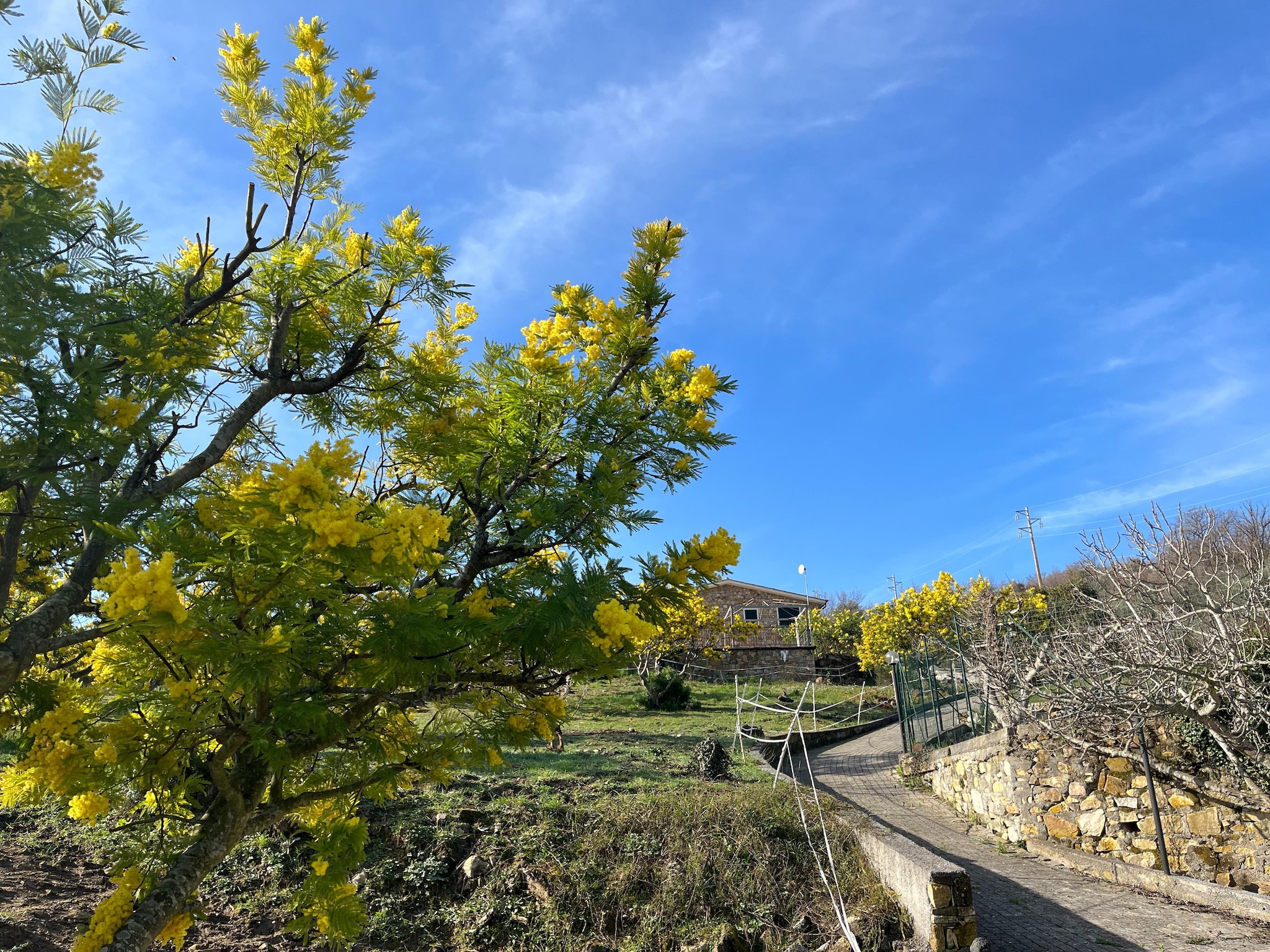 Lejlighed Agriturismo Le Mimose Imperia TWO-ROOM APARTMENT 4