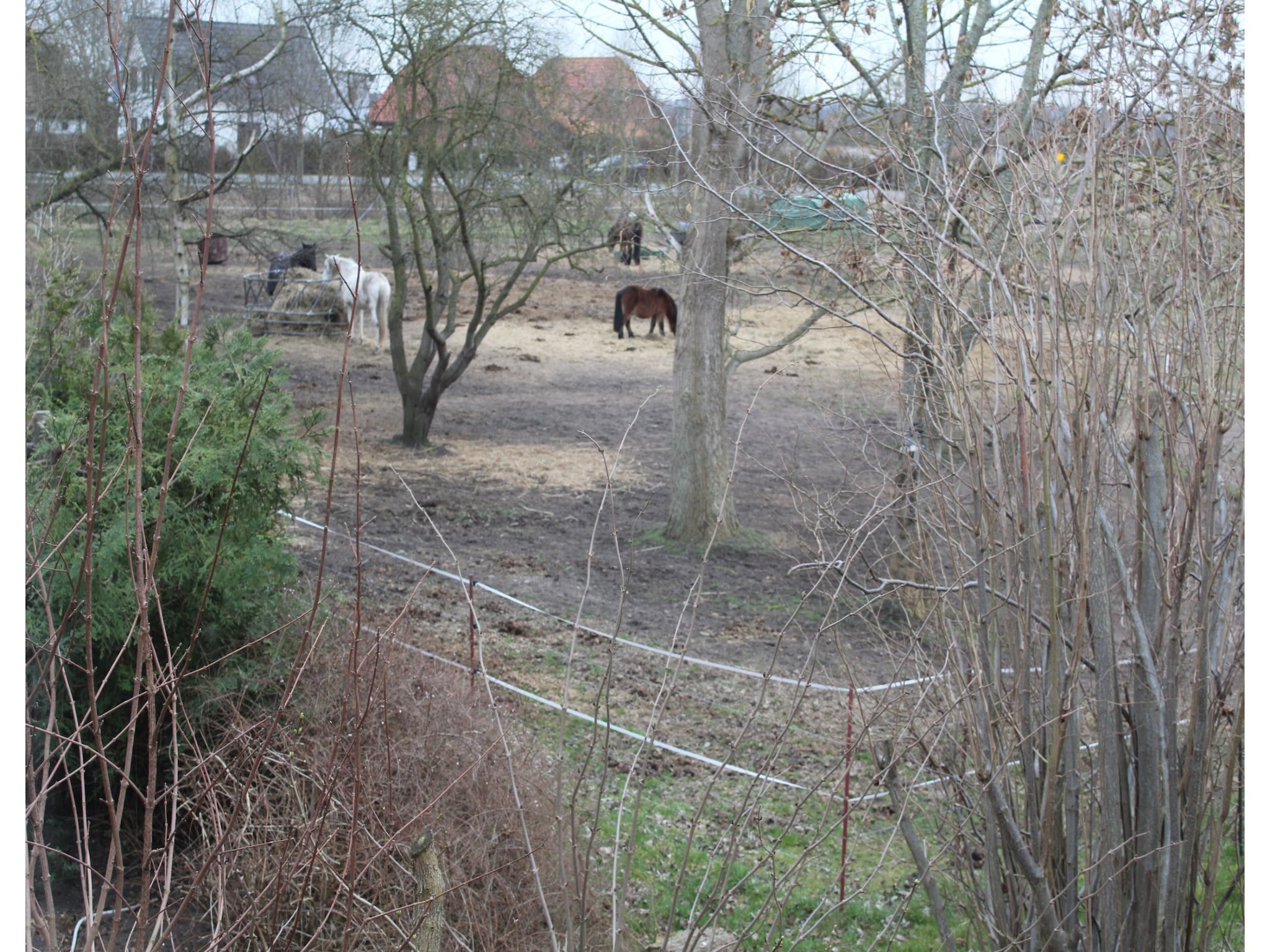 Vacation home Harderhof 1