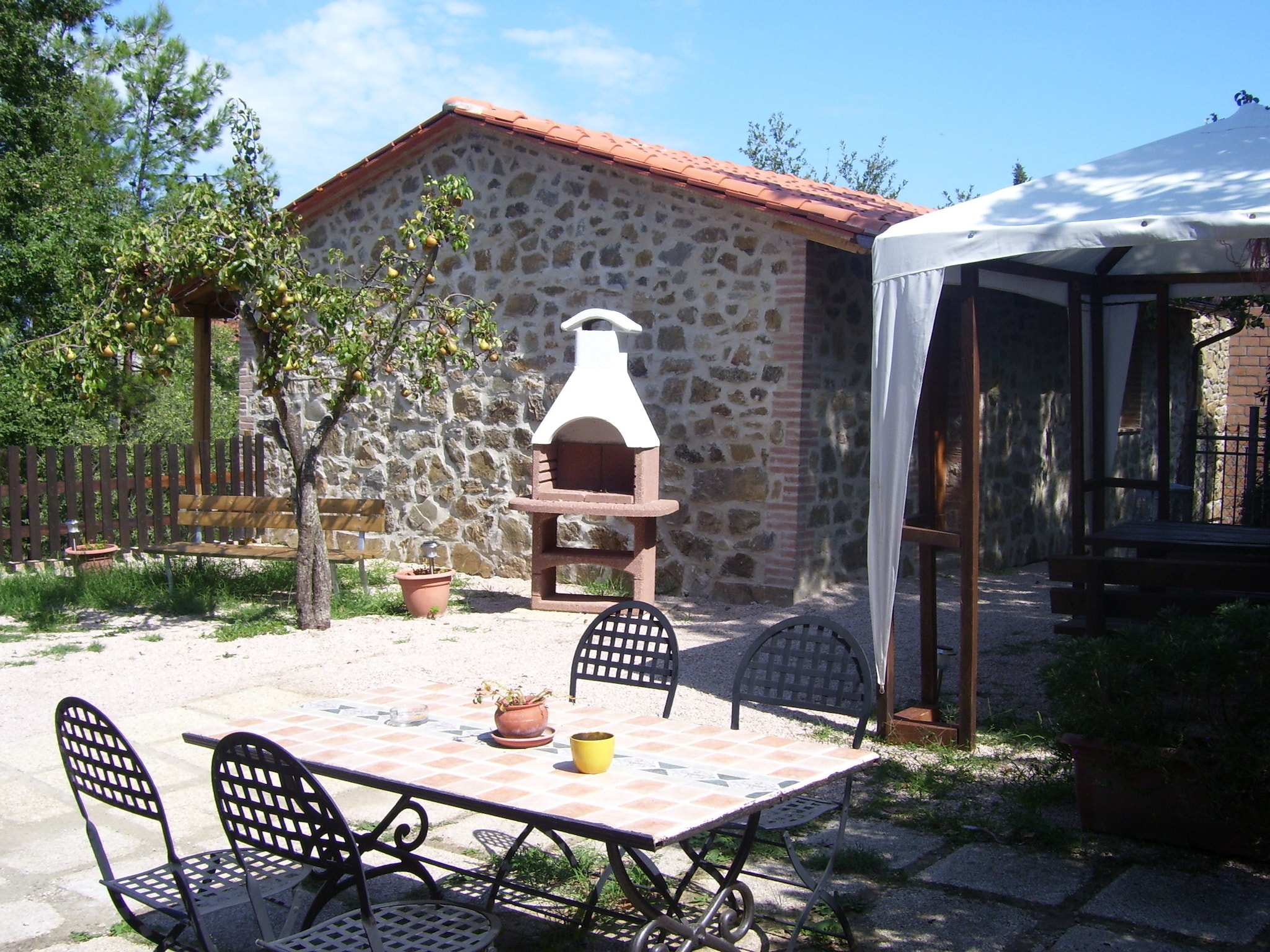   Olivo
