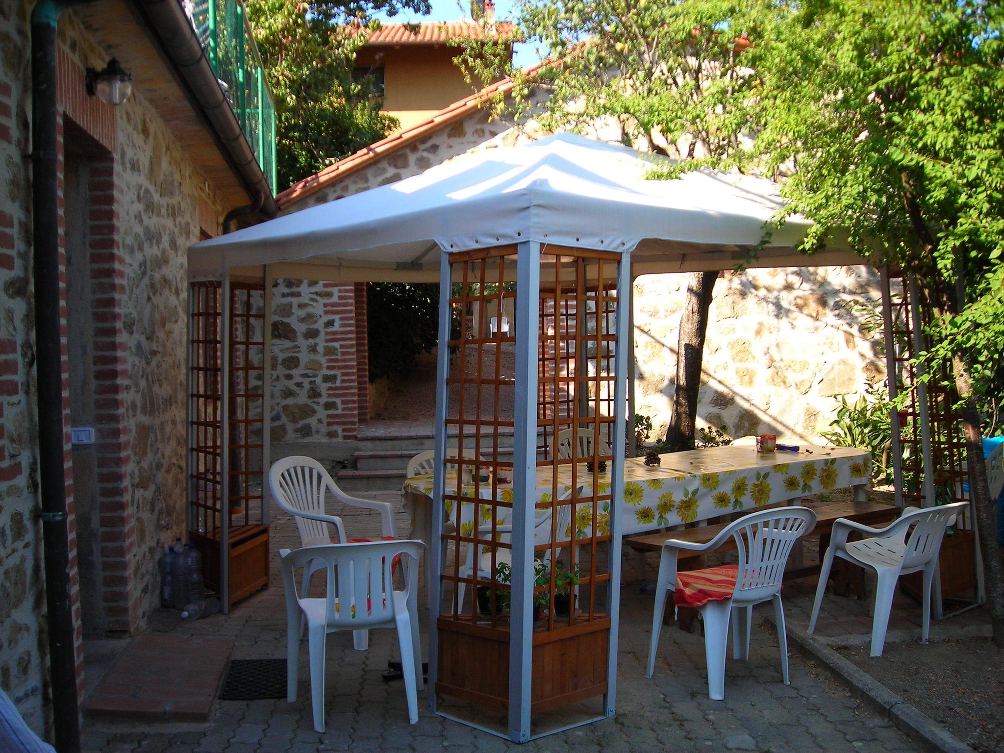   Olivo