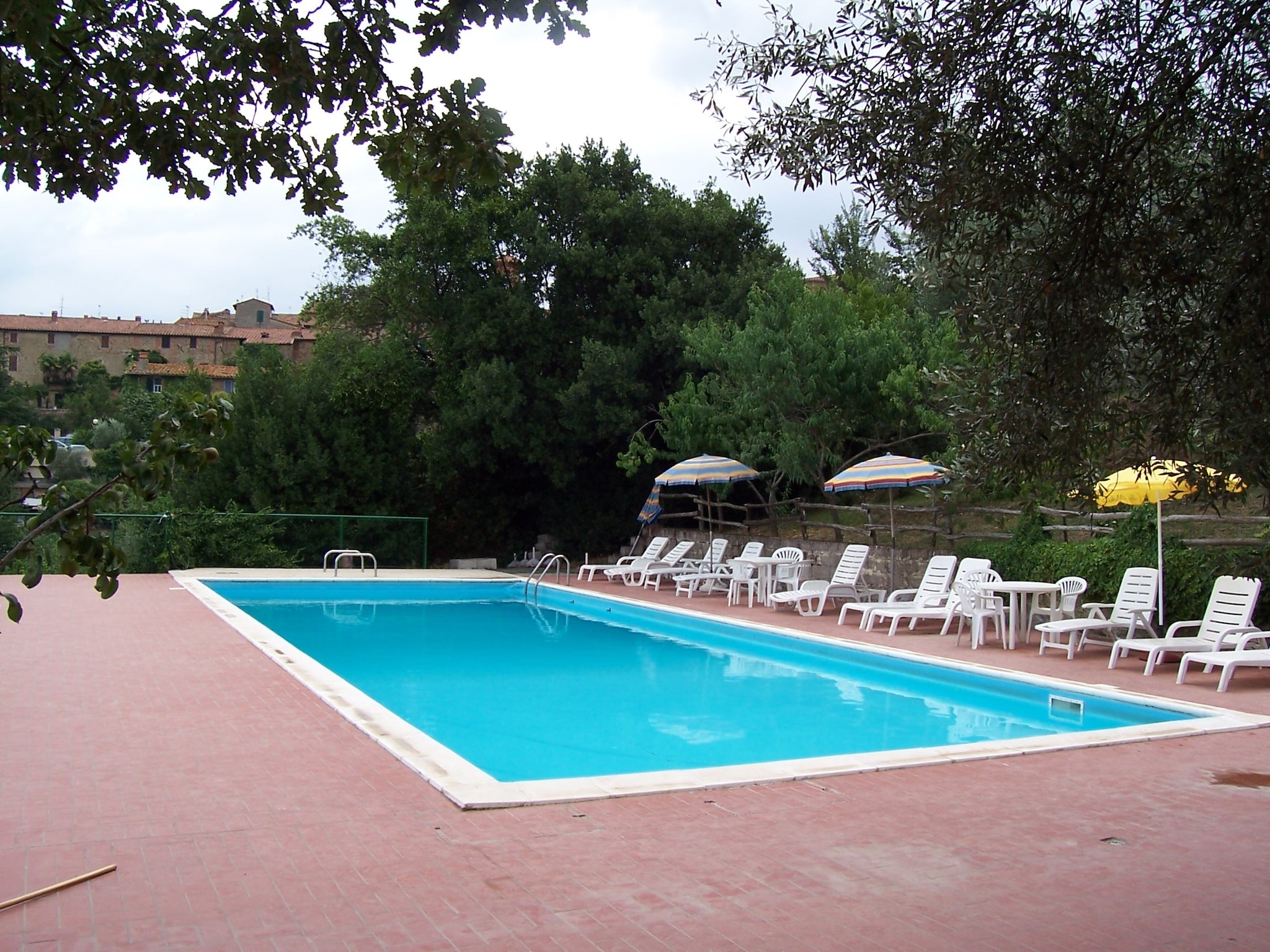   Olivo