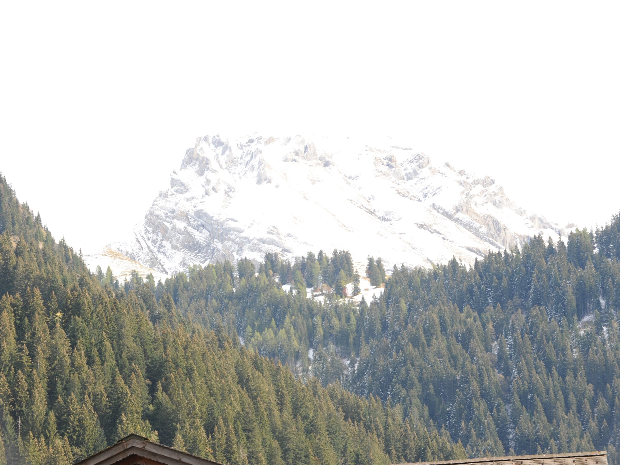 Ferienwohnung Appartement Salvisberg