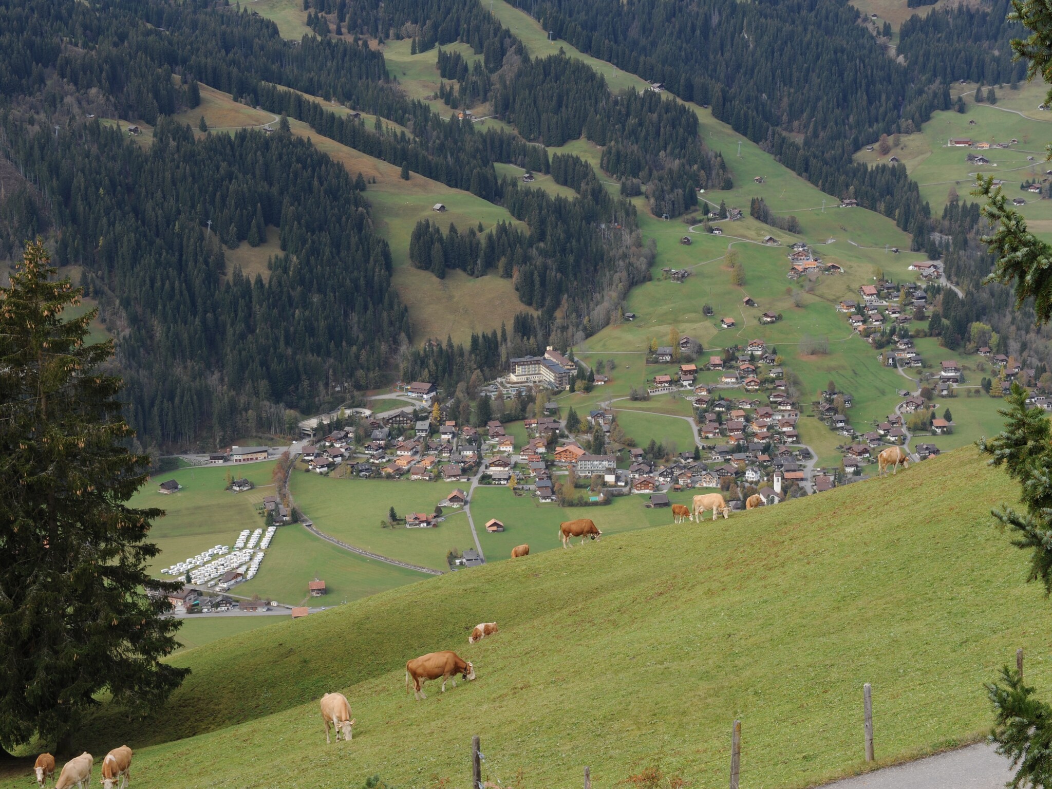 Ferienwohnung Appartement Salvisberg