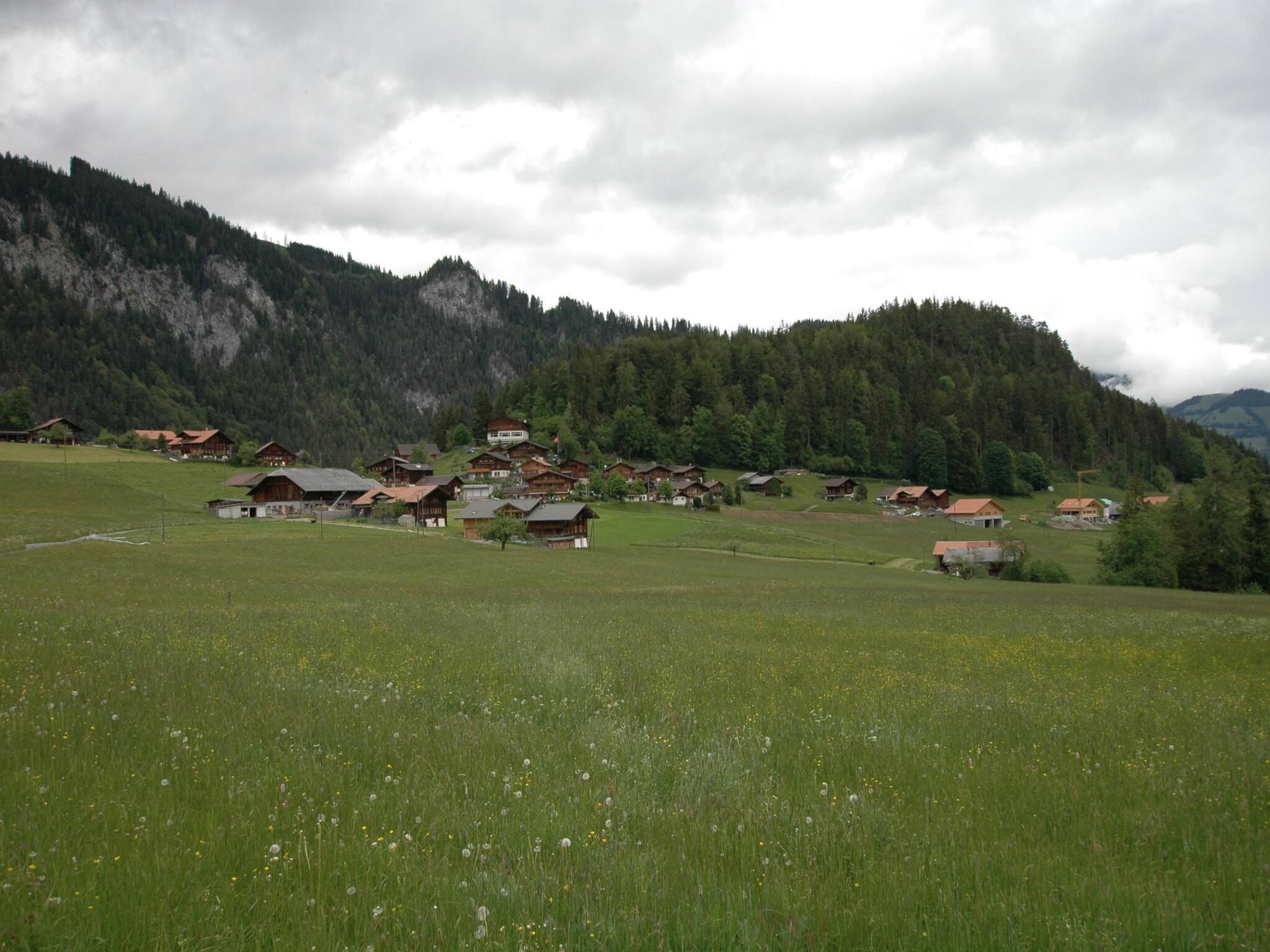 Ferienwohnung Appartement Salvisberg