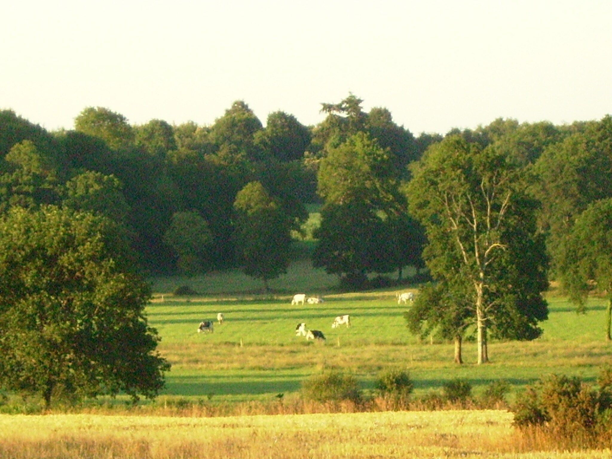 Maison Les Volets Bleus