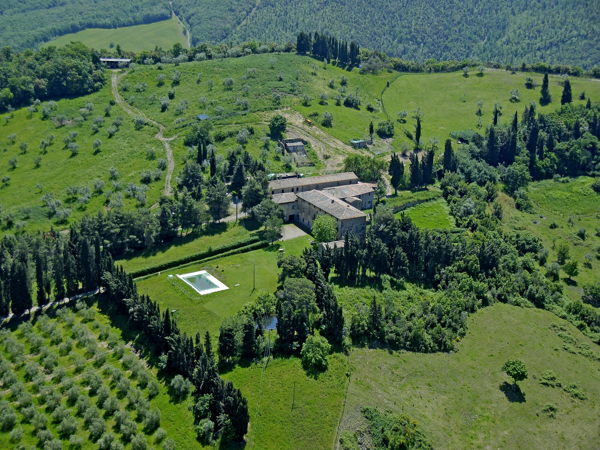   Allodola