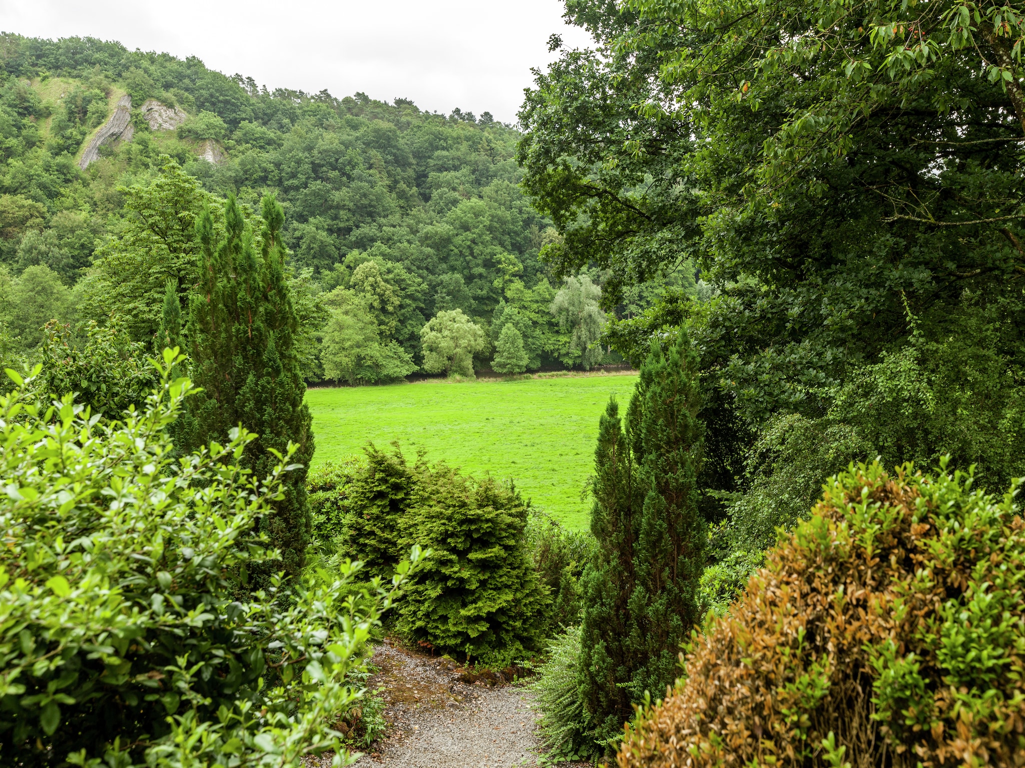   Trou de Reinard- Domaine Ecureuil