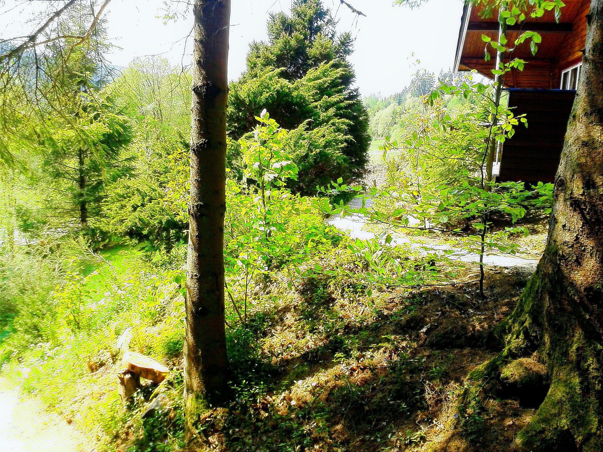 Ferienhaus La Bressine