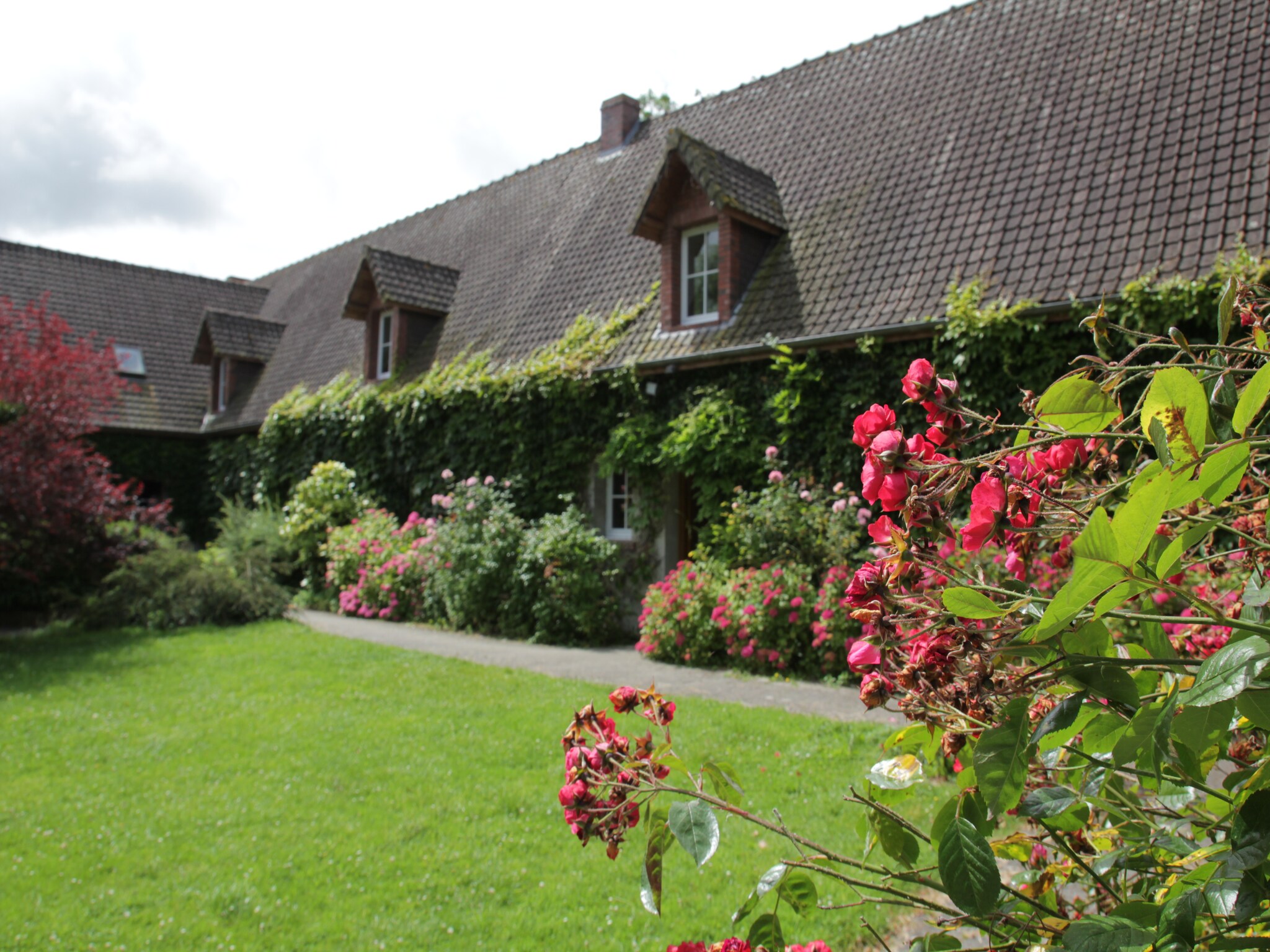 Feriebolig Chalet 1