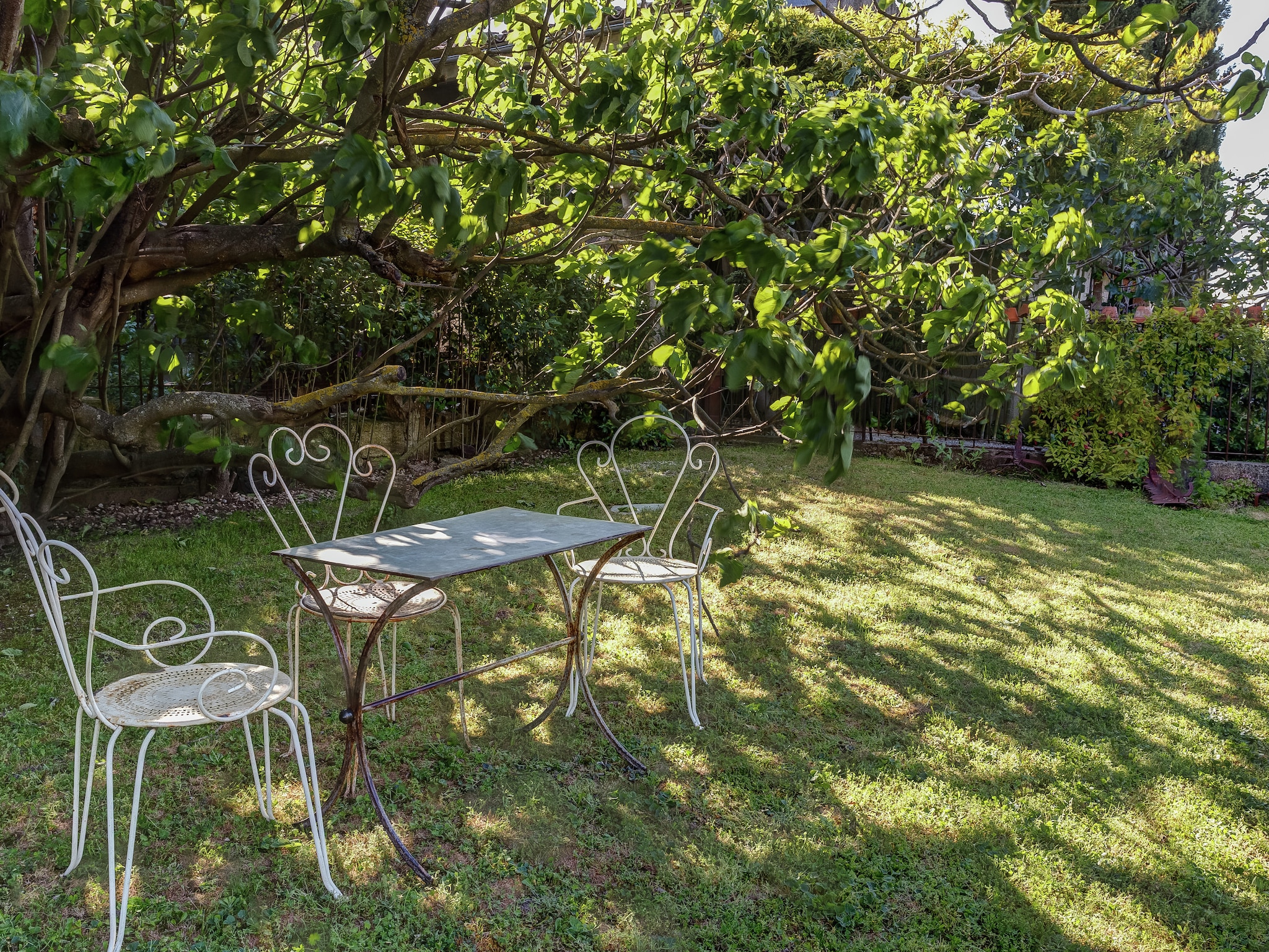 Vacation home Le Figuier