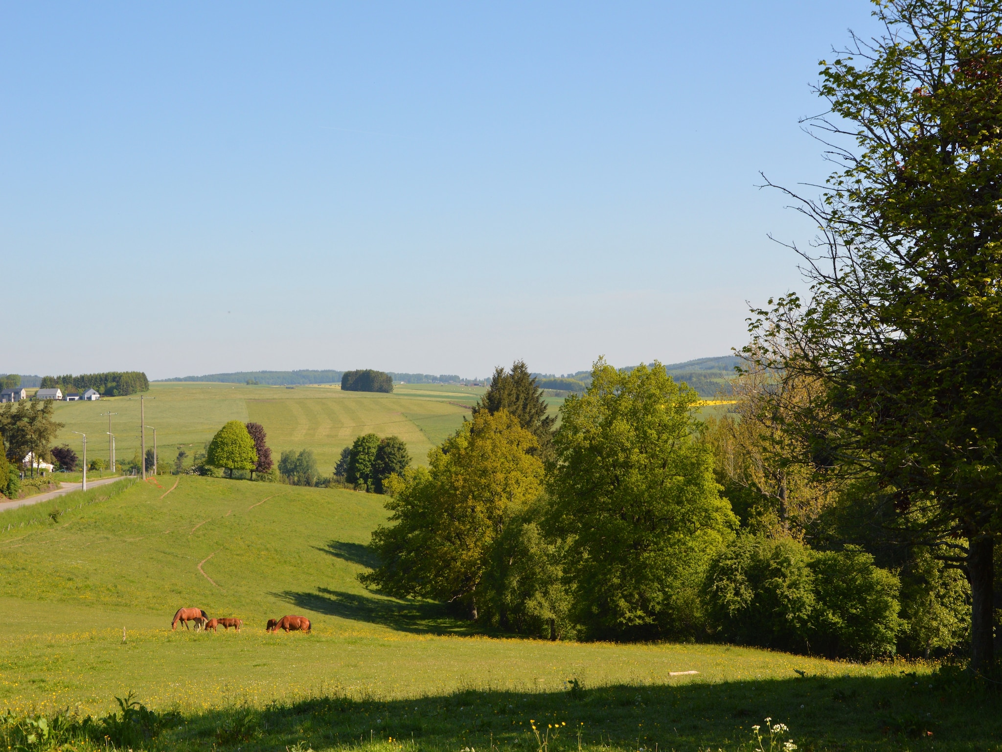 Feriebolig La Hetraie