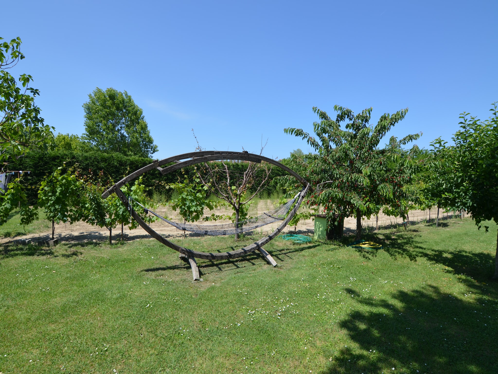 Appartamento Venturi Cherry