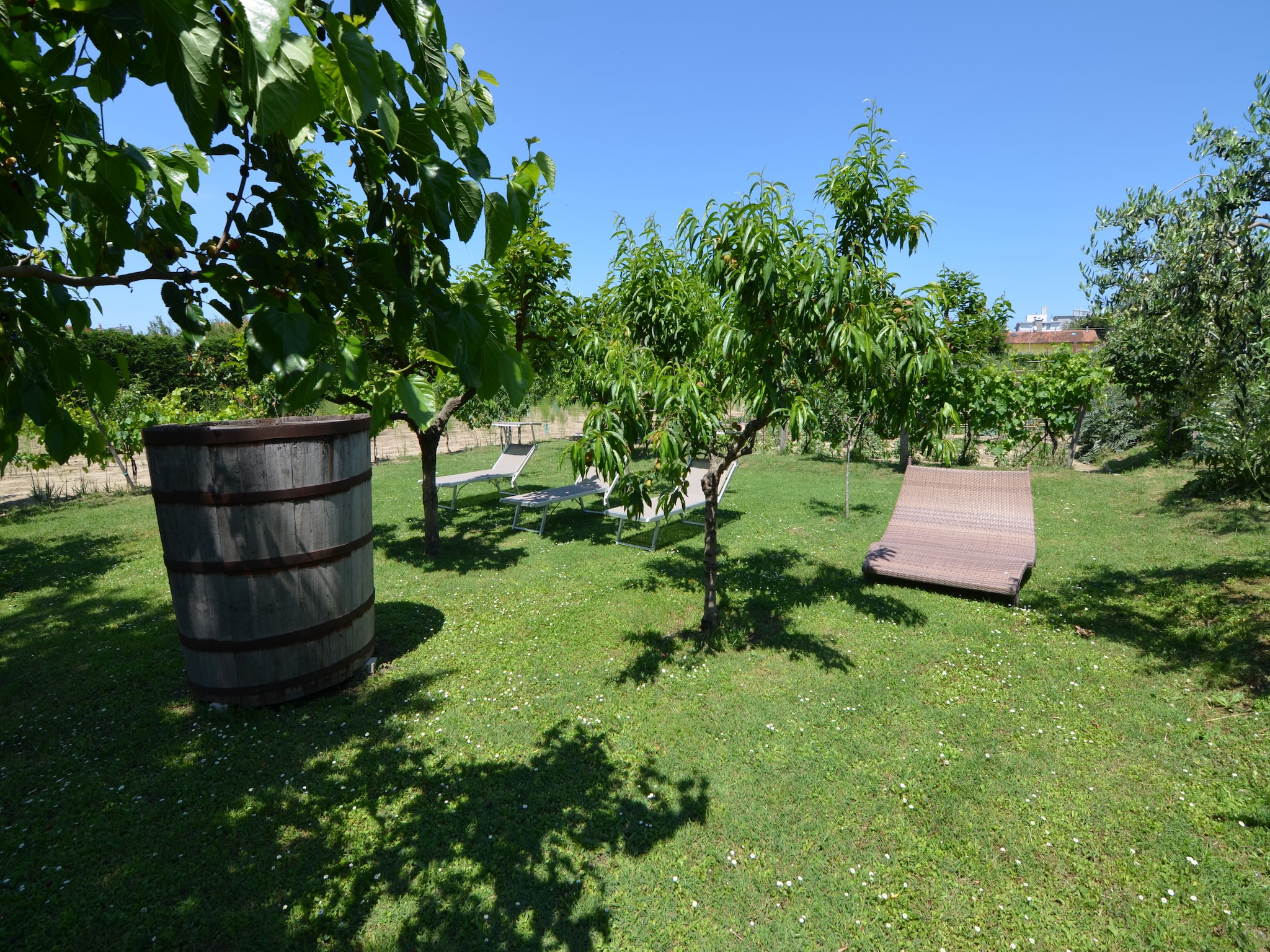 Appartamento Venturi Cherry