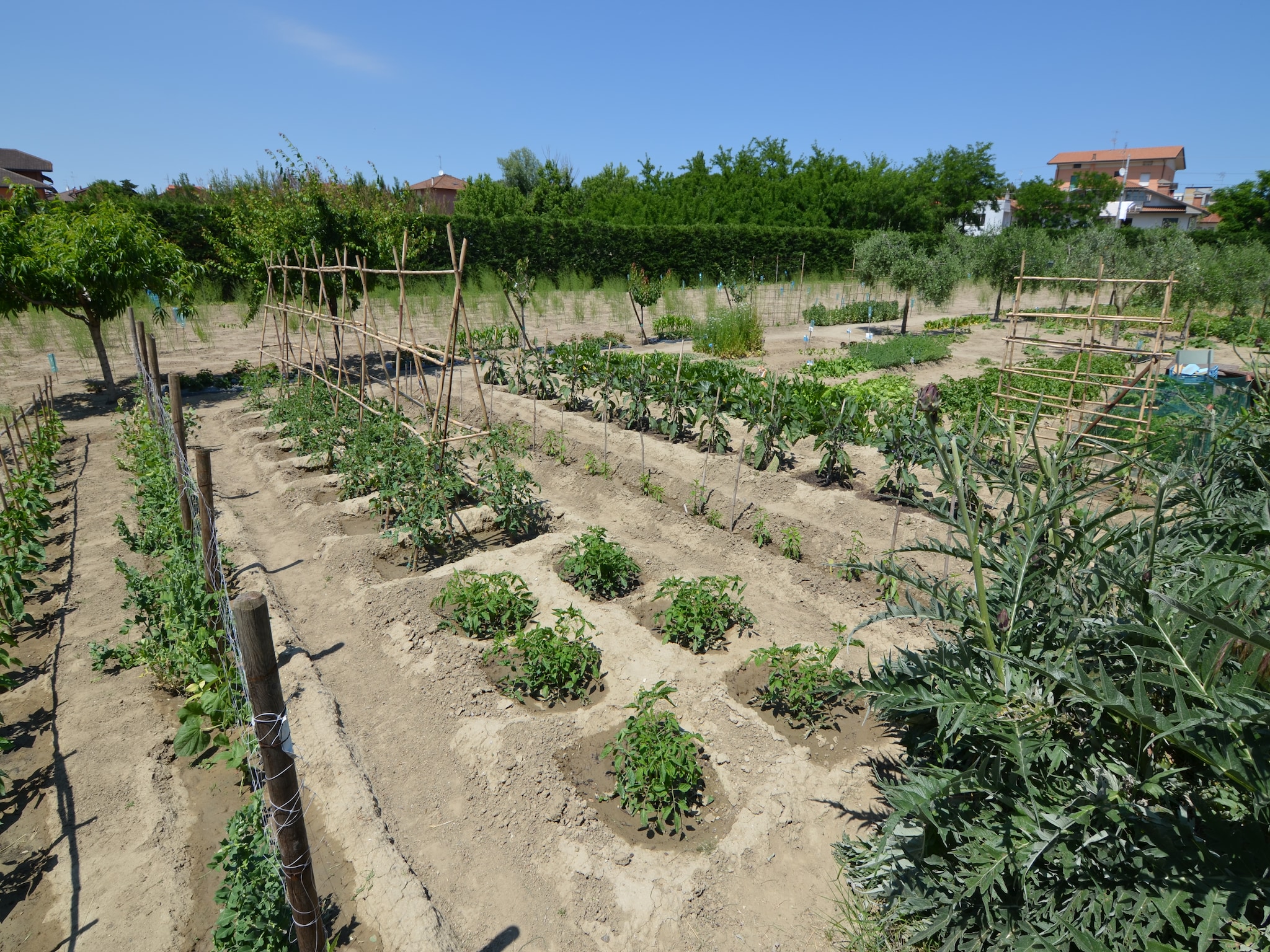 Appartamento Venturi Cherry