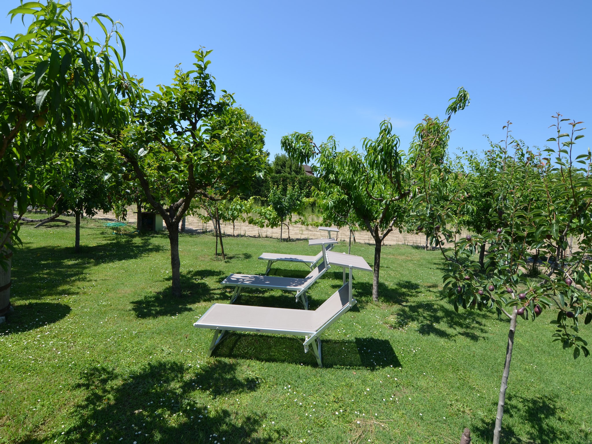 Appartamento Venturi Cherry