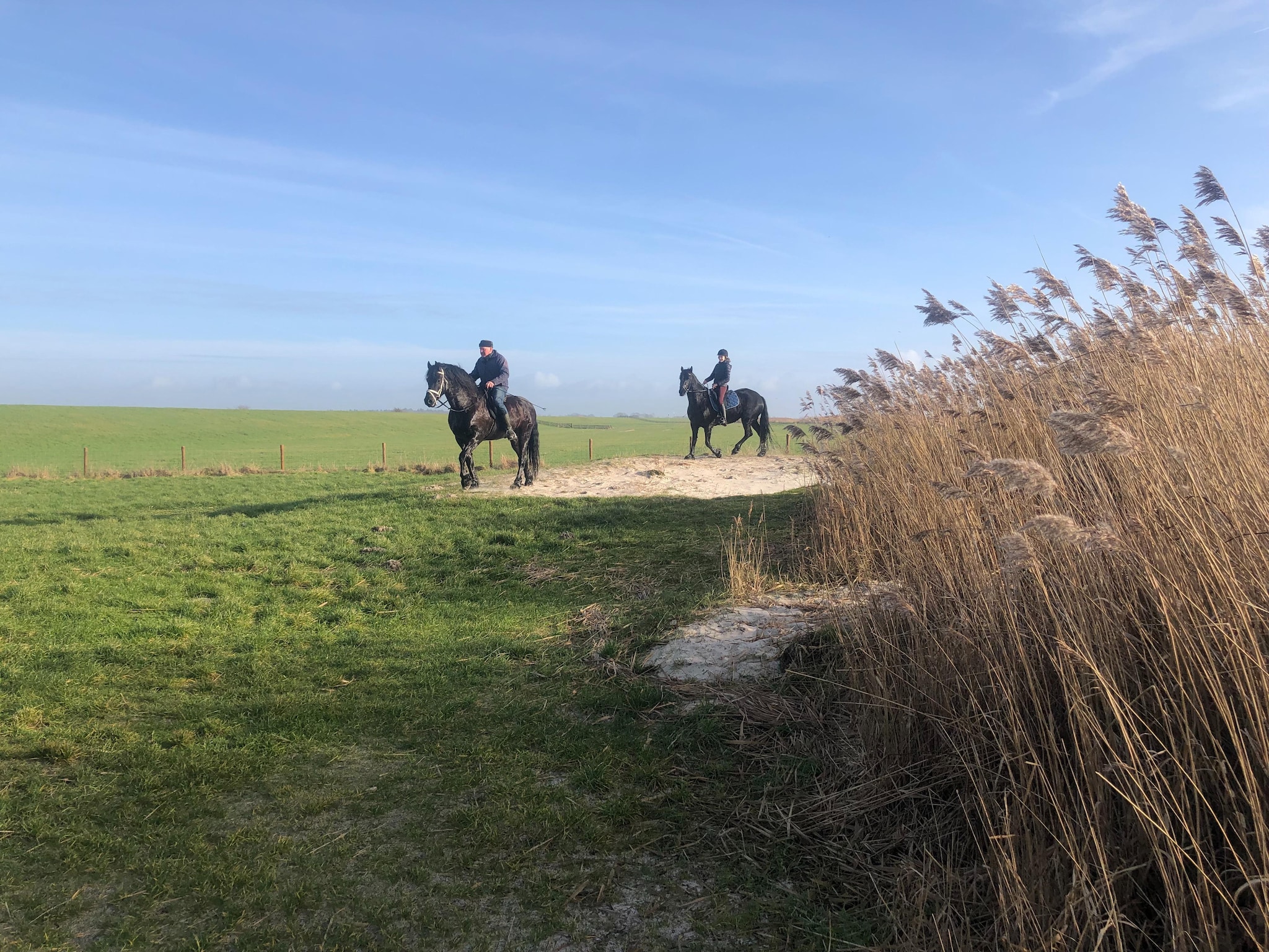   De Waske