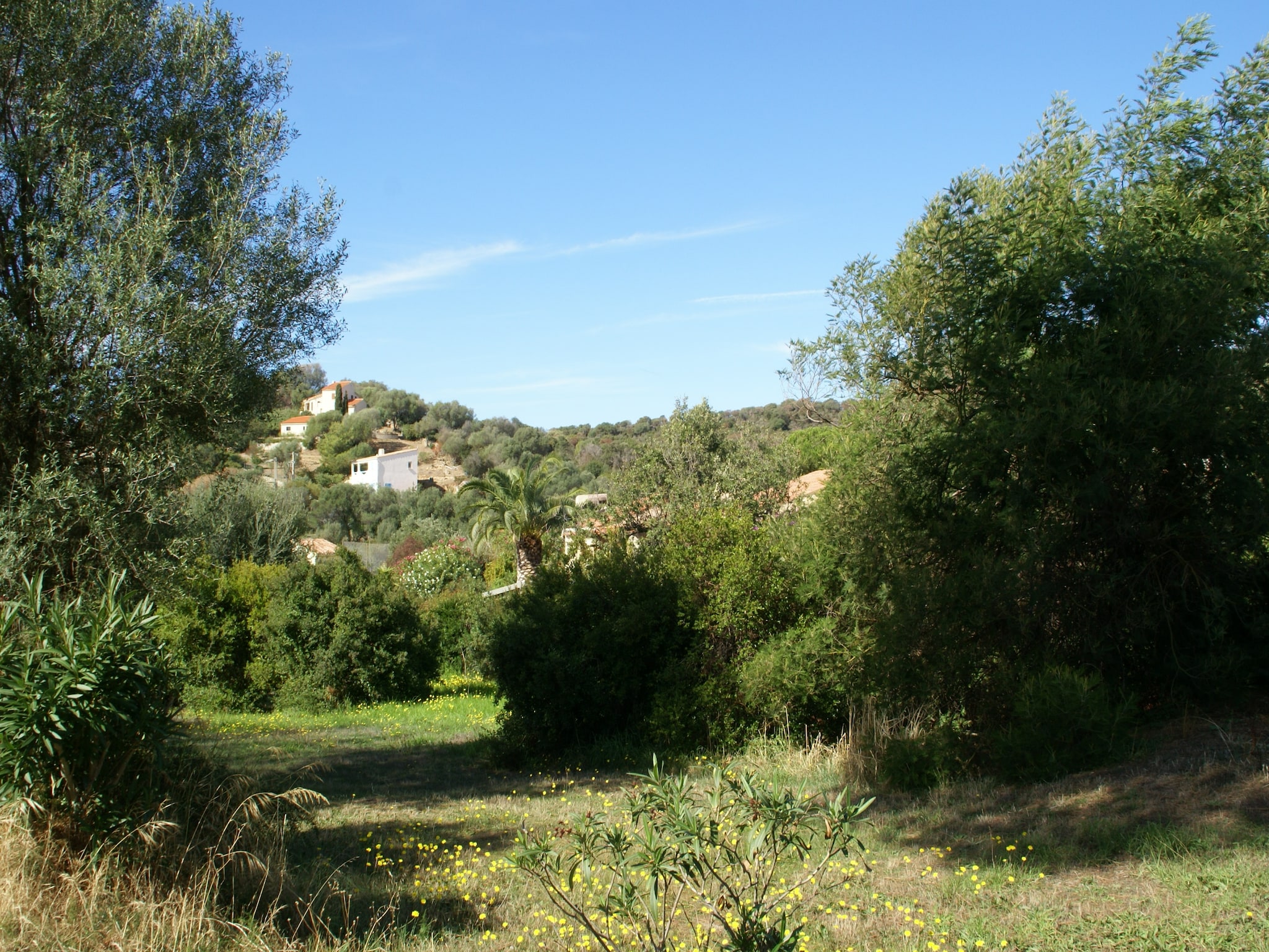   Les Neireides II