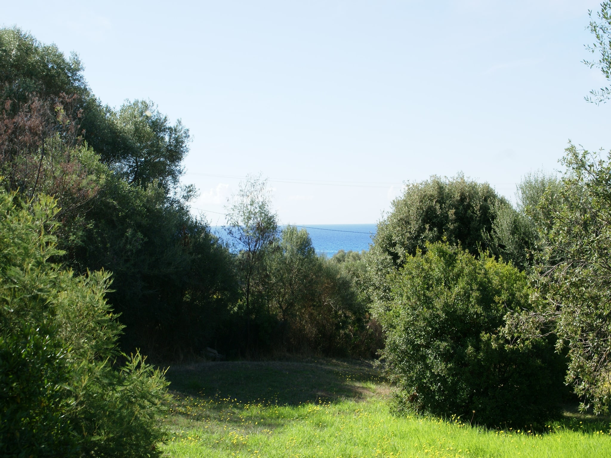   Les Neireides II