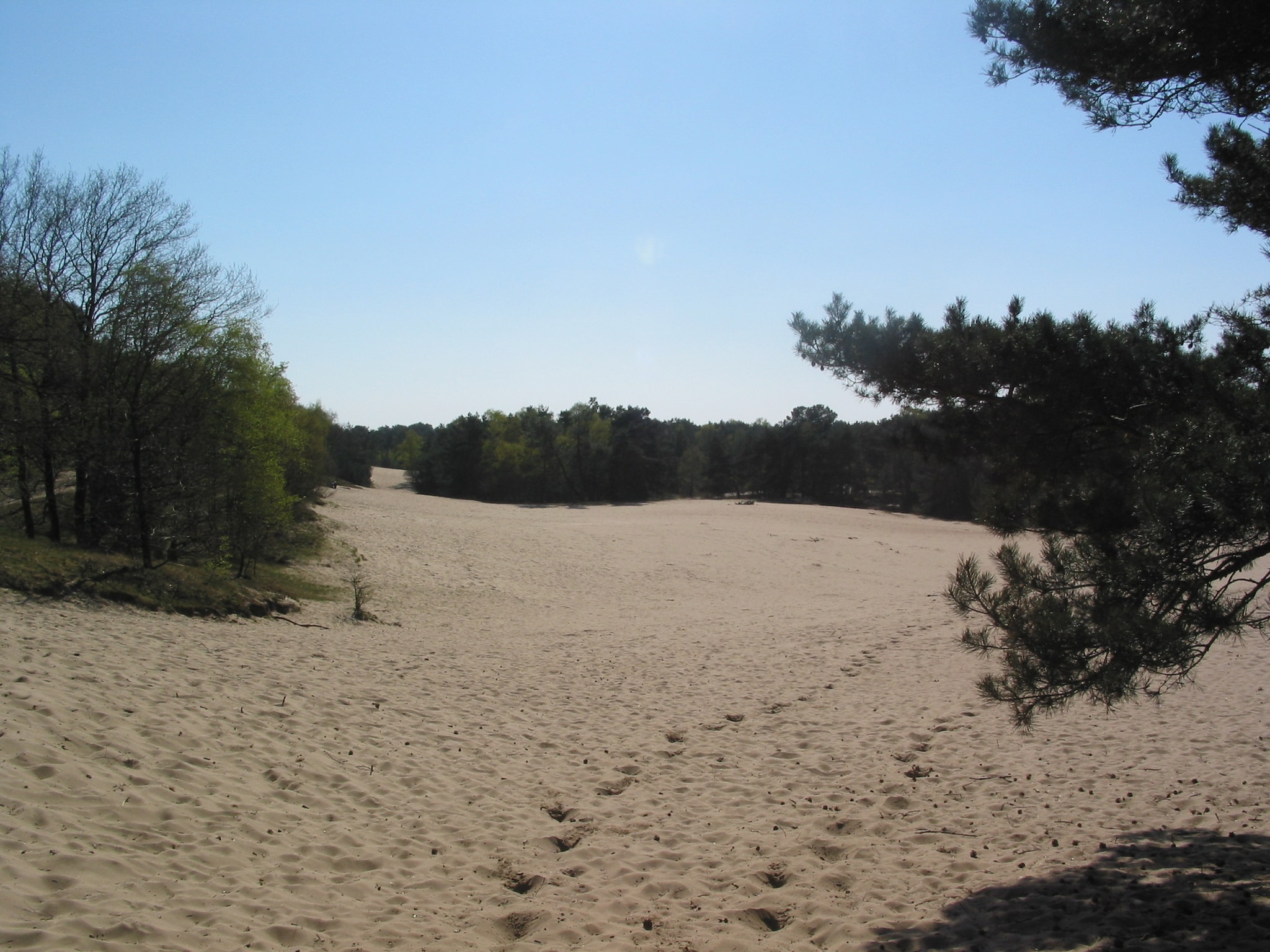   Vakantiepark Herperduin 9
