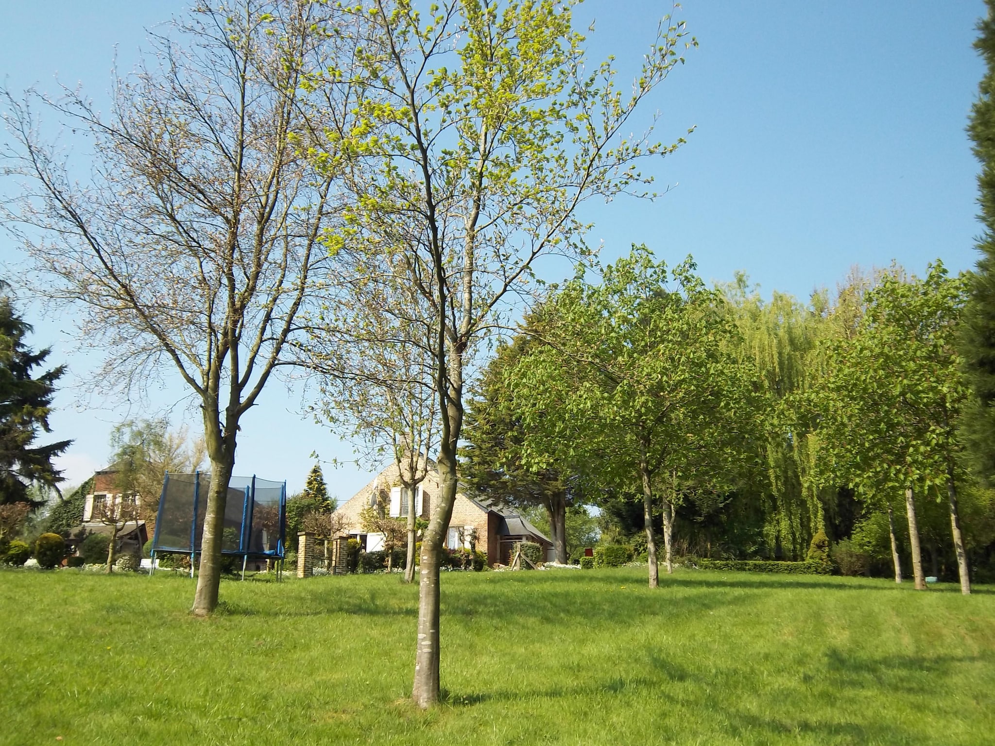 Maison La Rabouillère