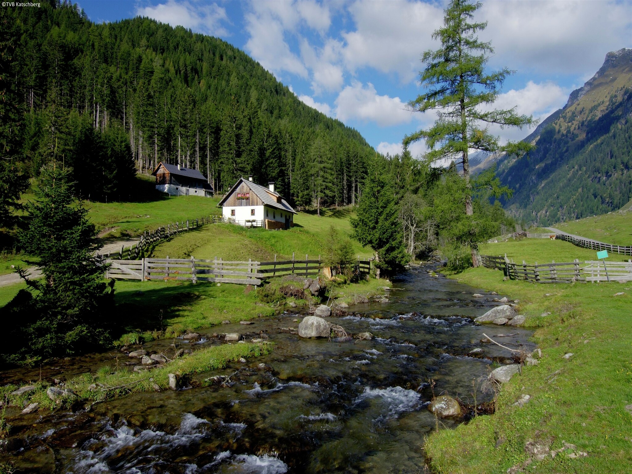   Haus 3 Birken