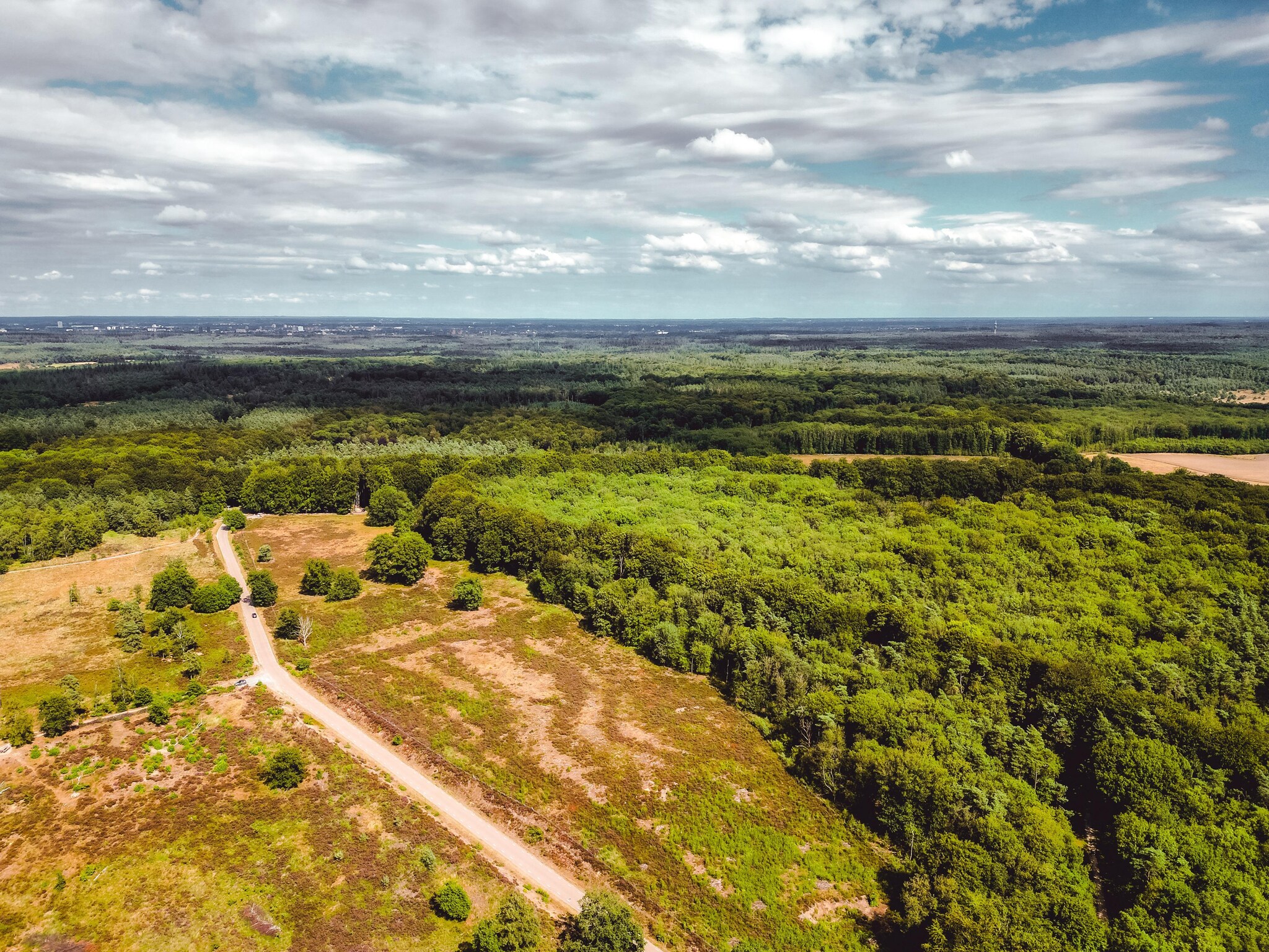   Bospark de Schaapskooi 5