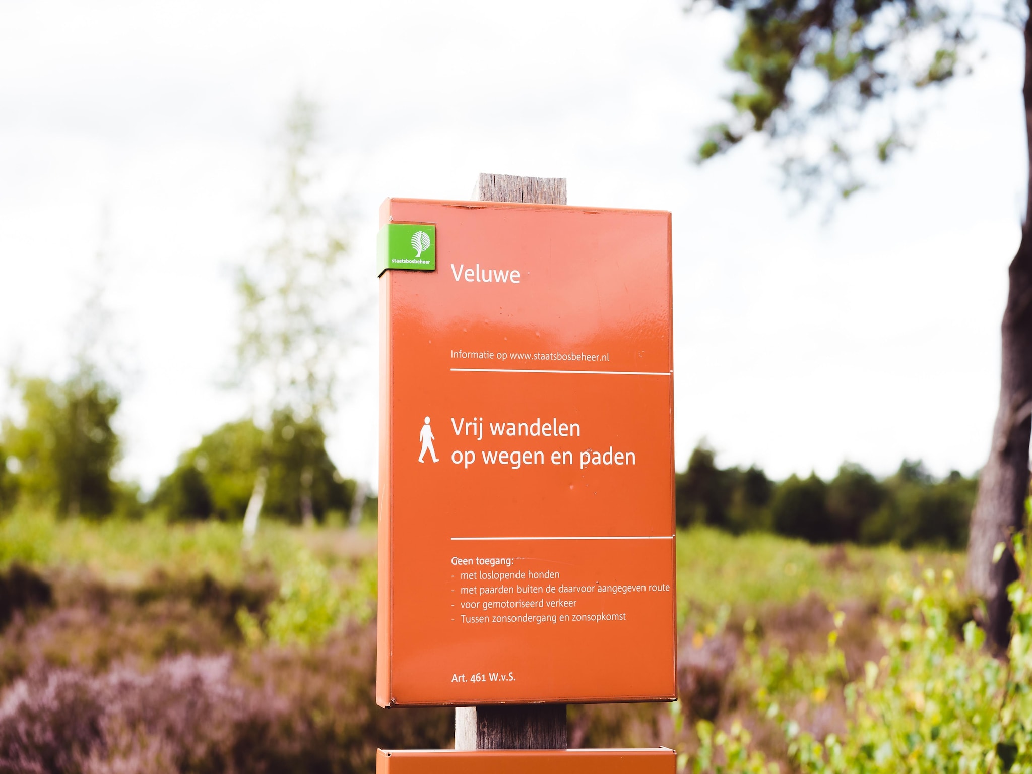   Bospark de Schaapskooi 5