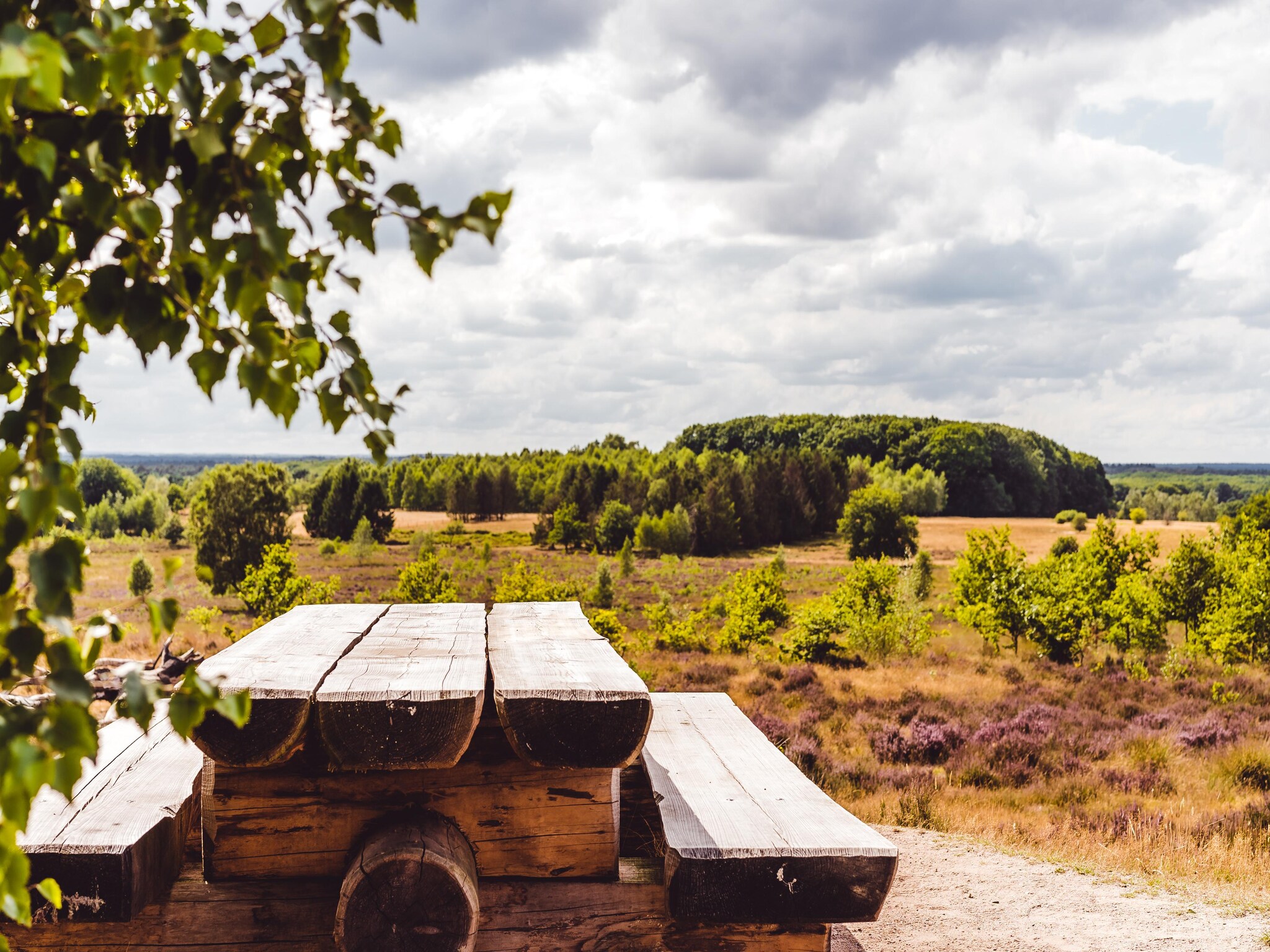   Bospark de Schaapskooi 5