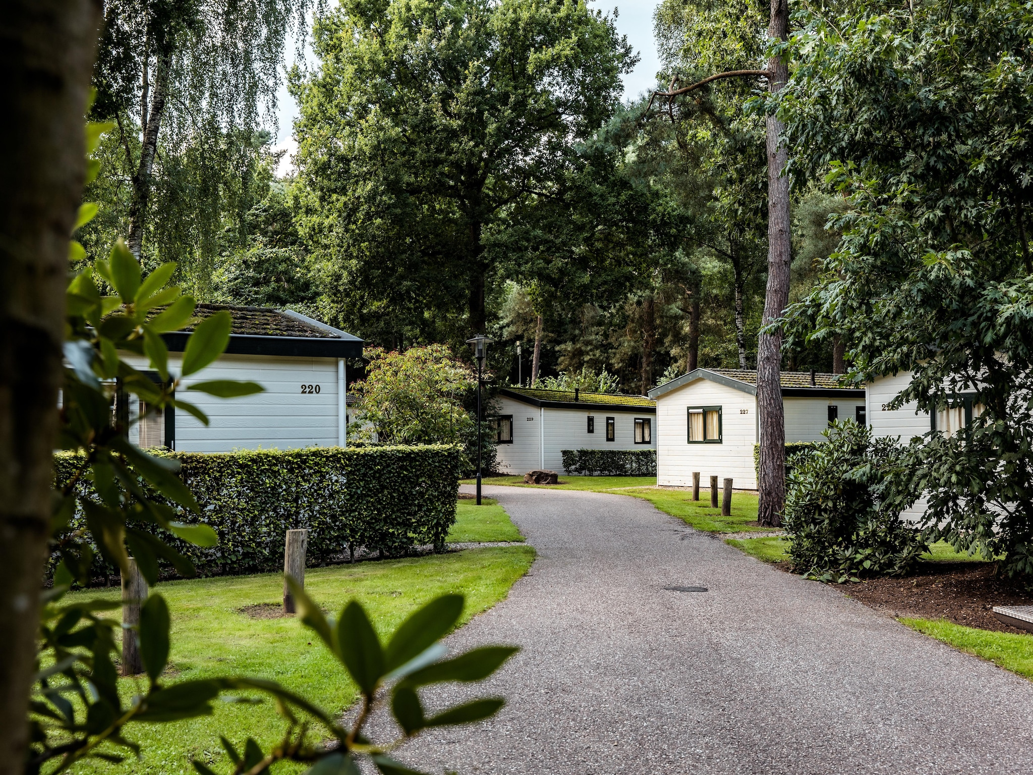   Bospark de Schaapskooi 5