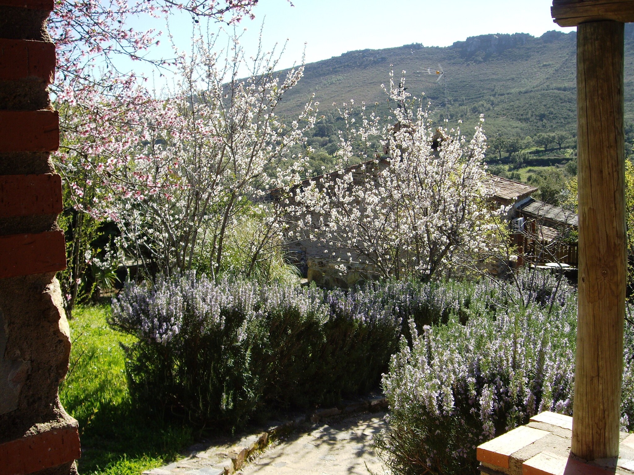   Casa El Tinao