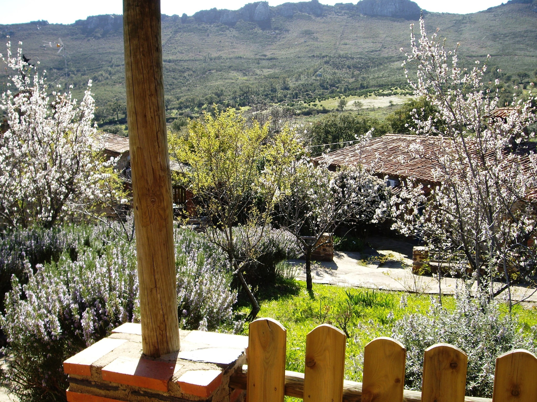   Casa El Tinao