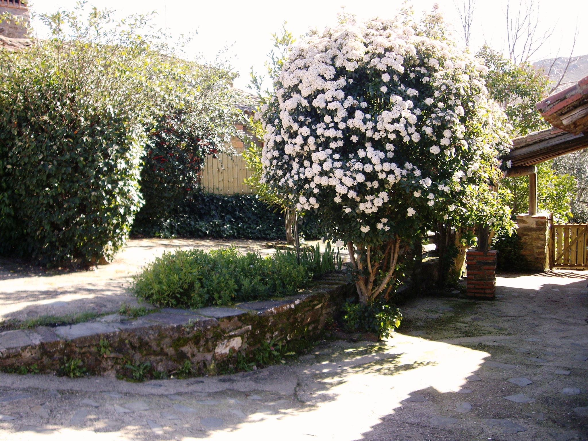   Casa El Tinao
