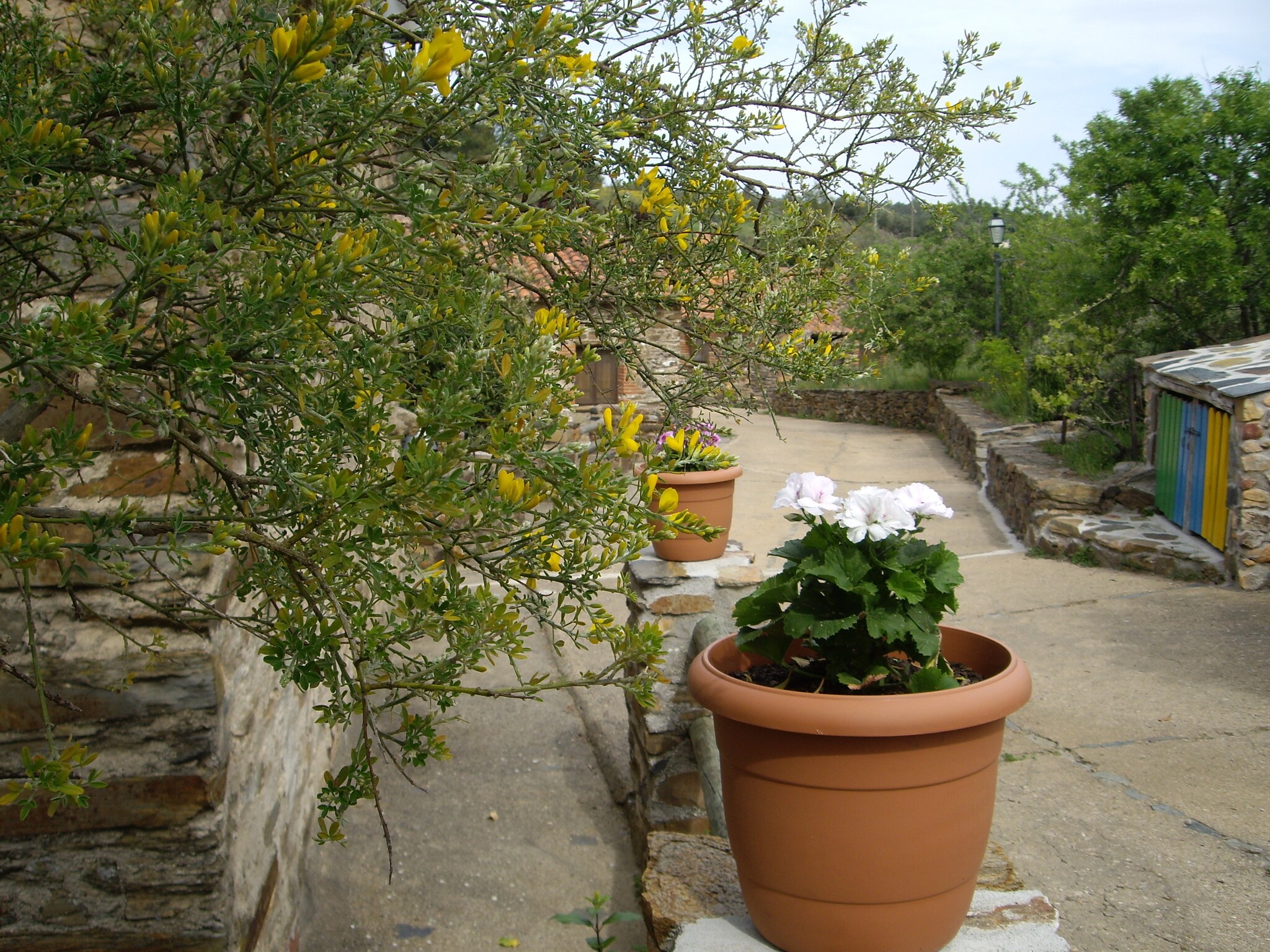   Casa El Tinao